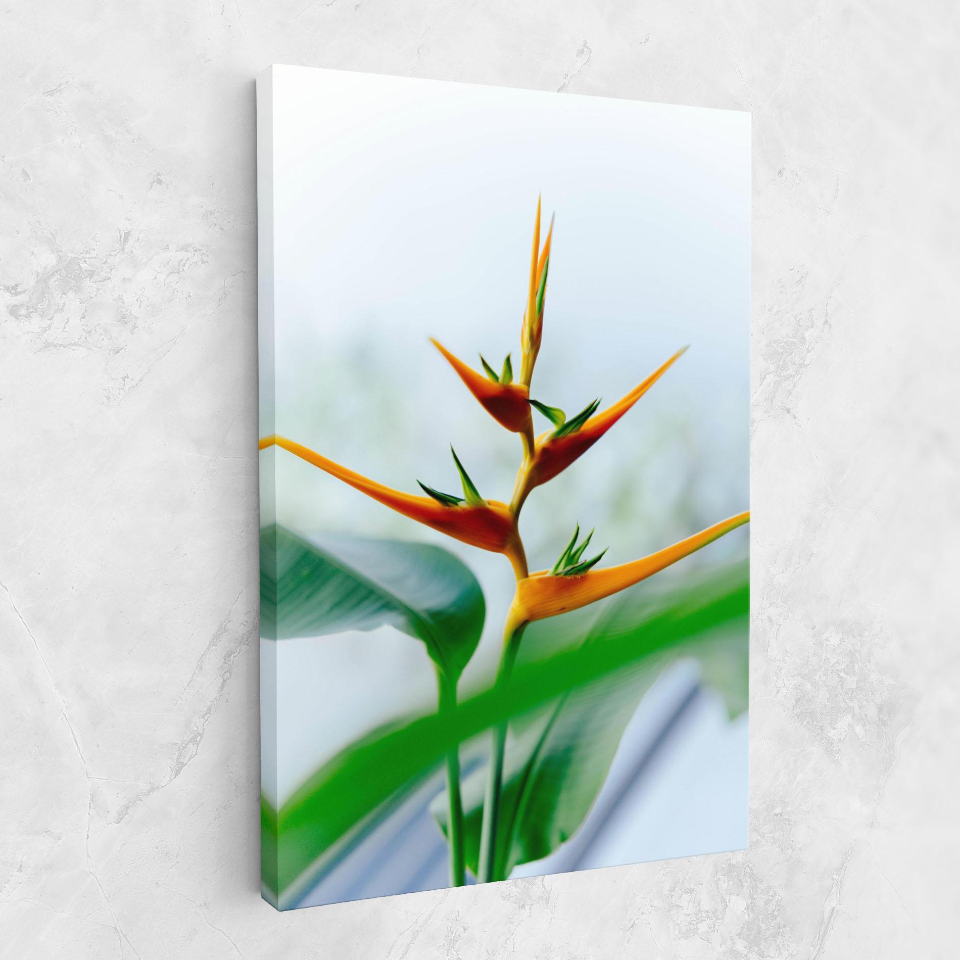 Leinwandbild Exotic Orange Green mockup 1