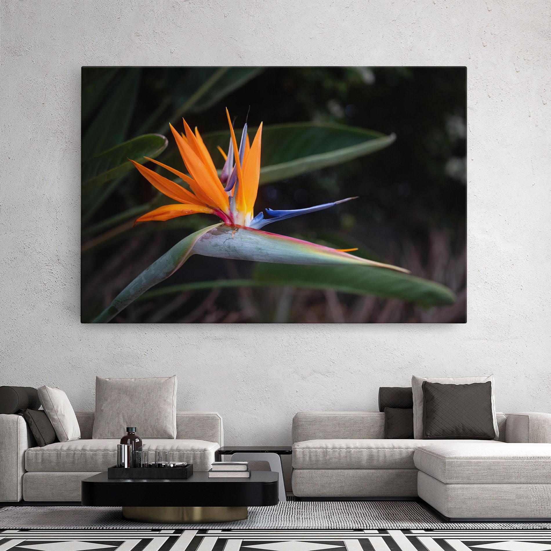 Leinwandbild Paradise Plant mockup 2