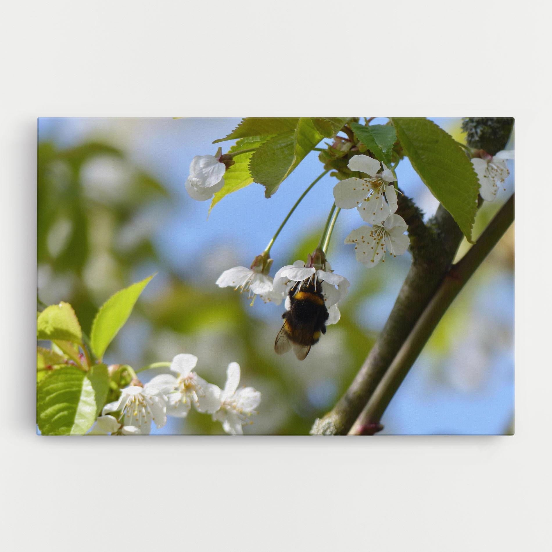 Leinwandbild Bee Wild Tree mockup 0