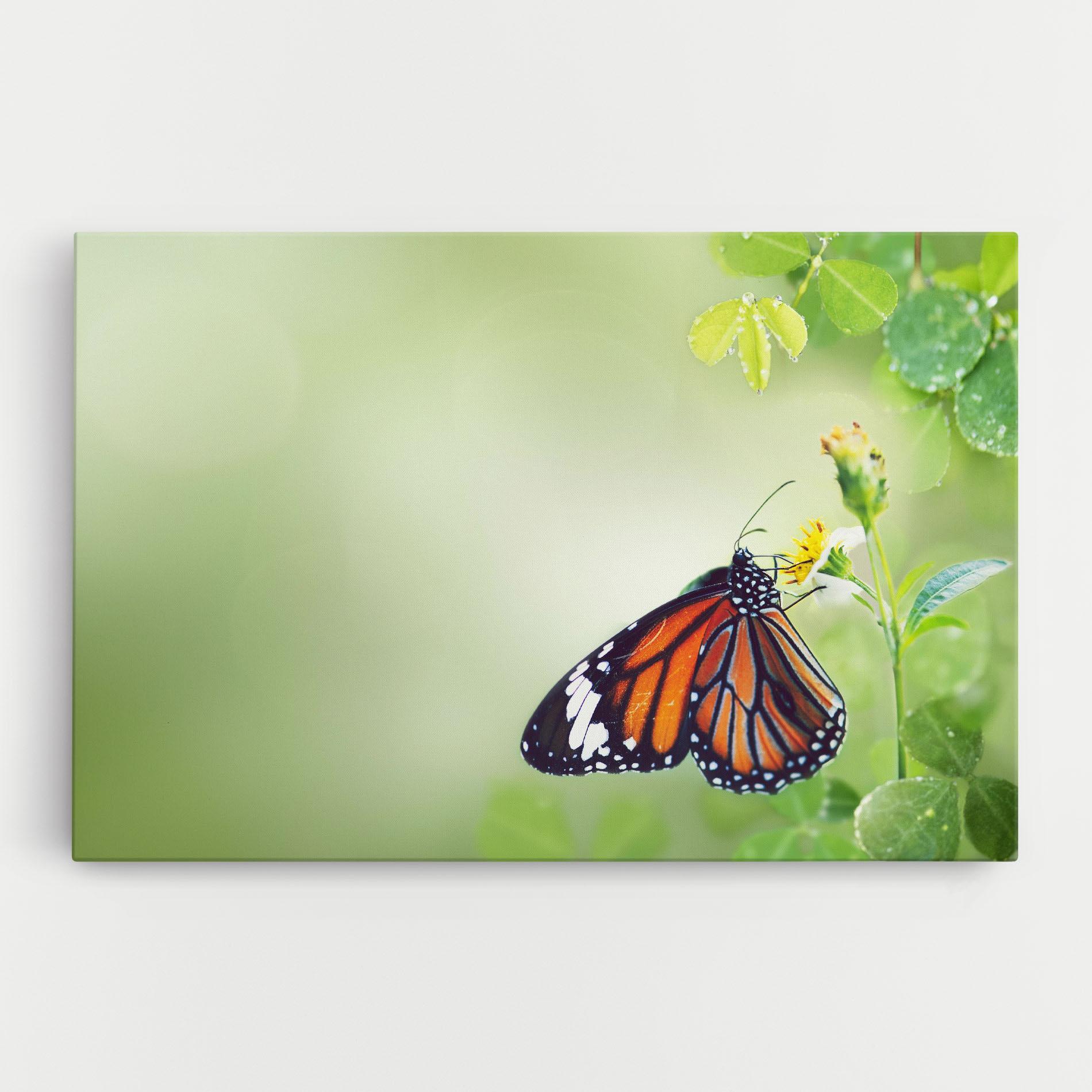 Leinwandbild Butterfly Wild Plant mockup 0