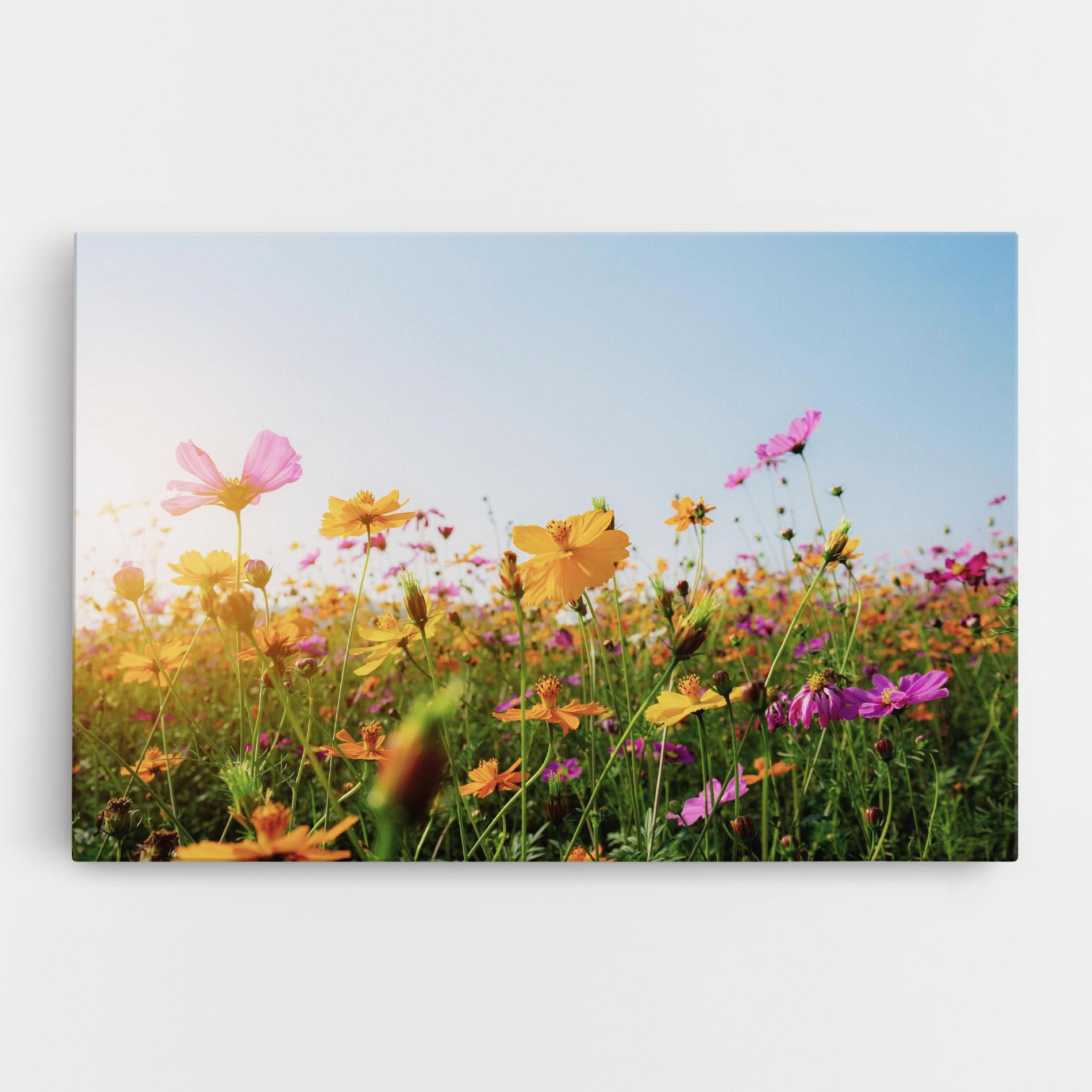 Leinwandbild Cosmos Field Sunset mockup 0