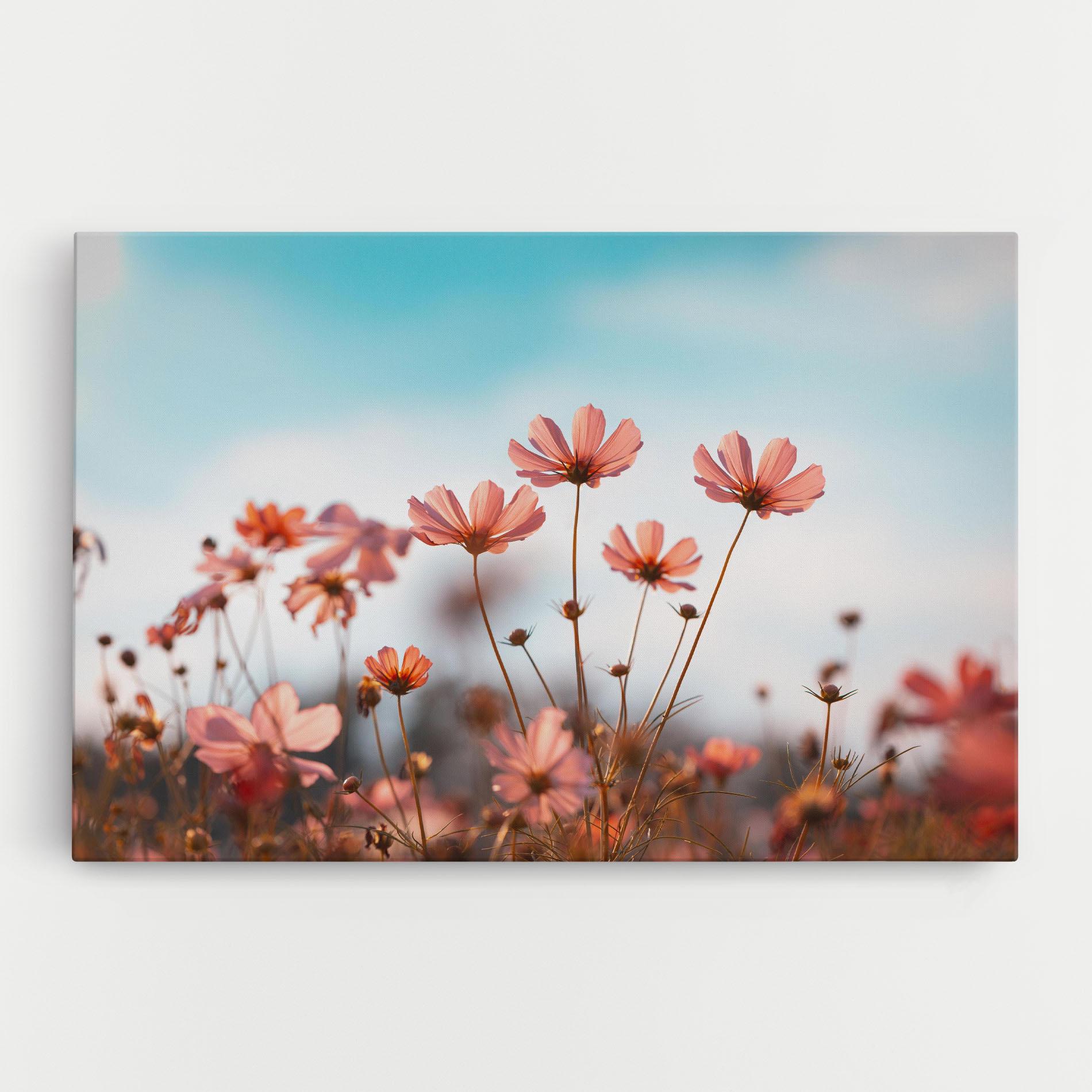 Leinwandbild Cosmos Flowers Beautiful mockup 0