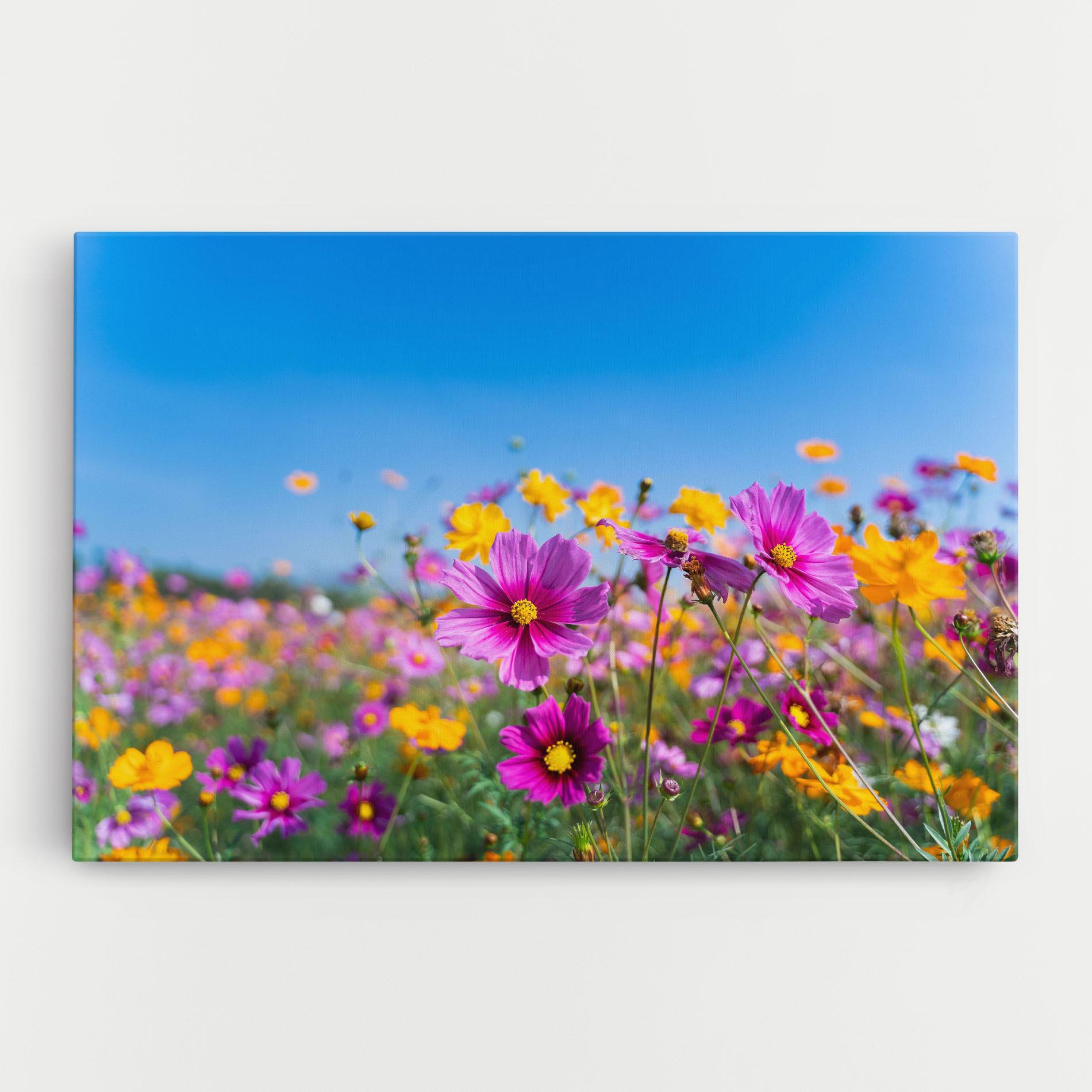 Leinwandbild Cosmos Flowers Grassland mockup 0
