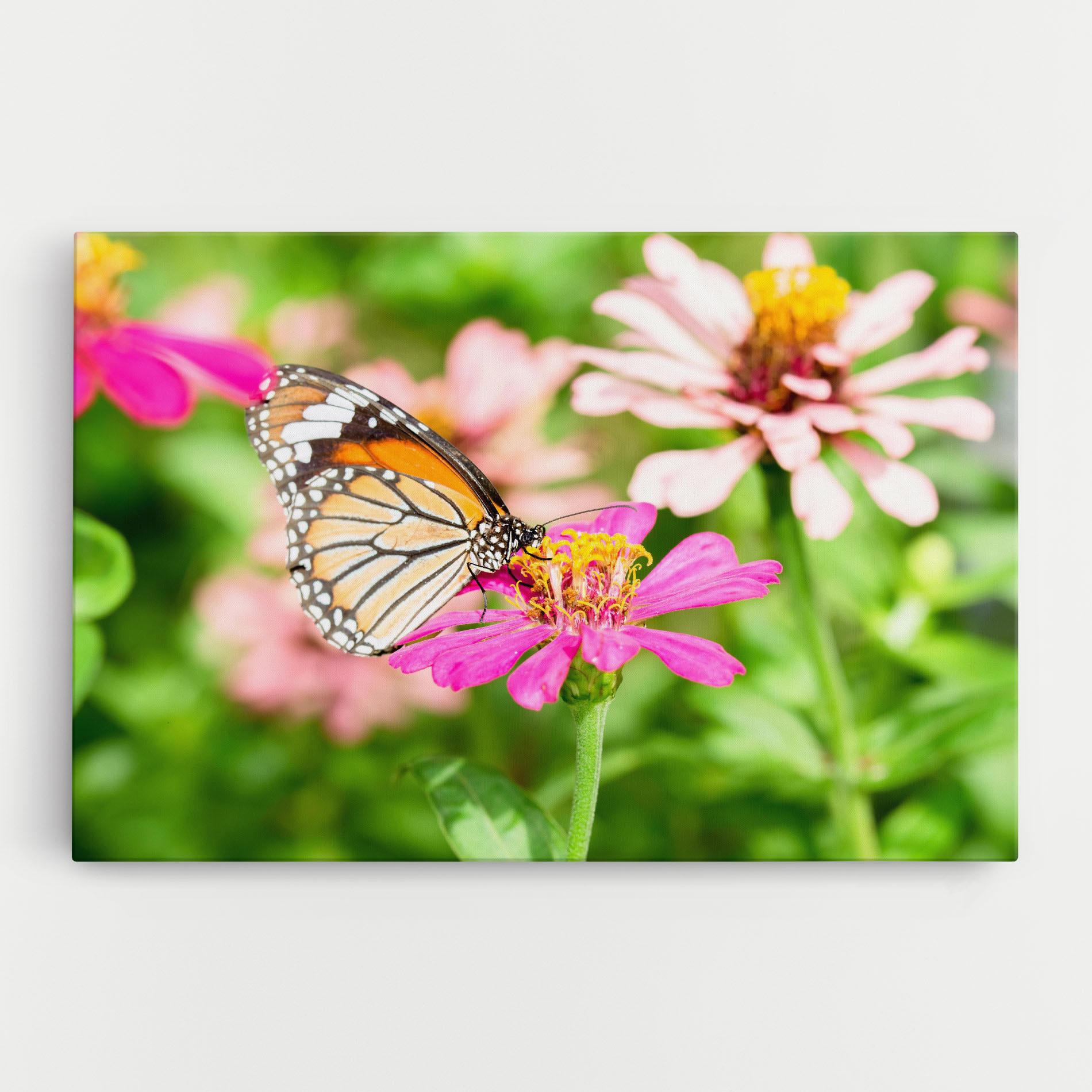 Leinwandbild Daylight Butterfly mockup 0
