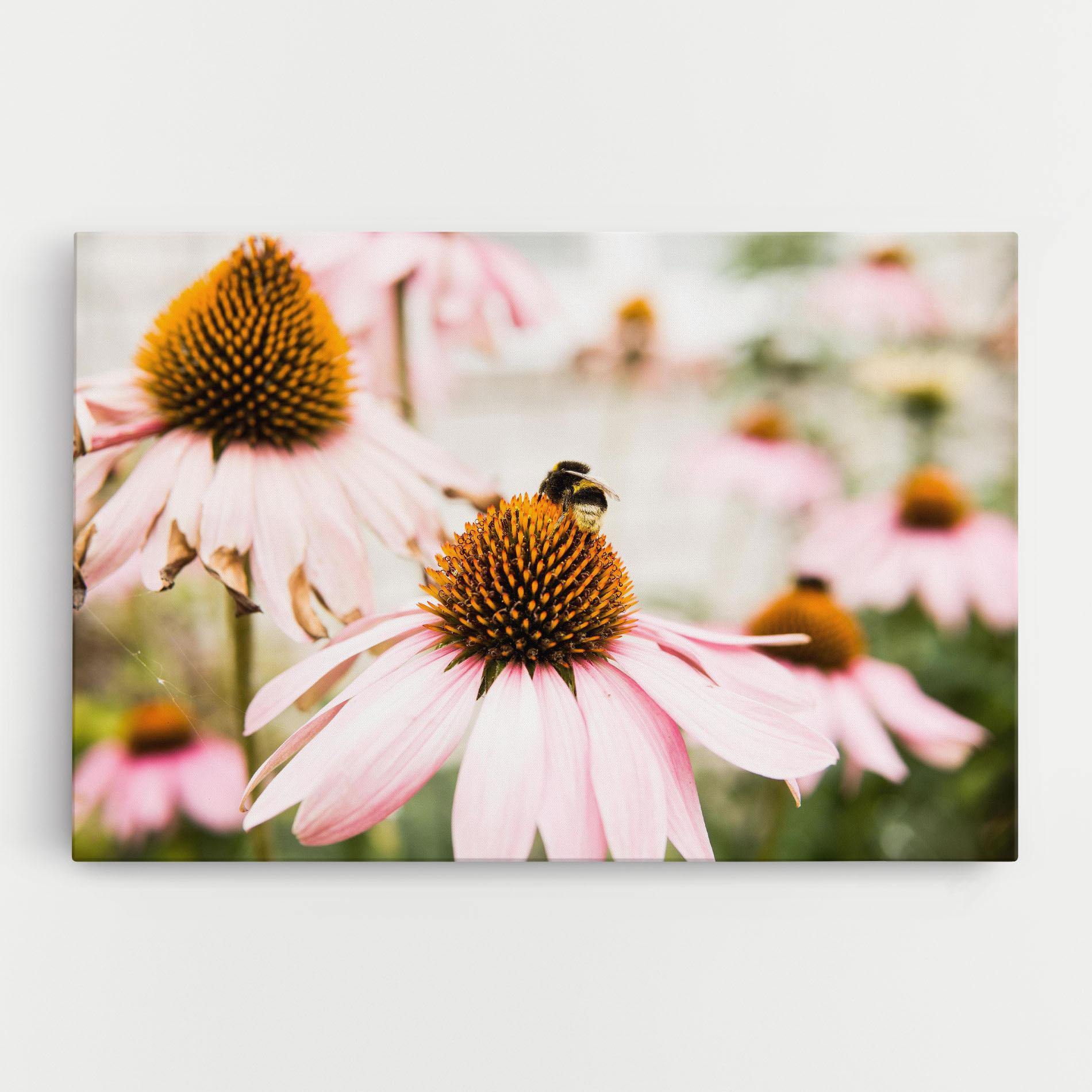 Leinwandbild Daylight Flower mockup 0