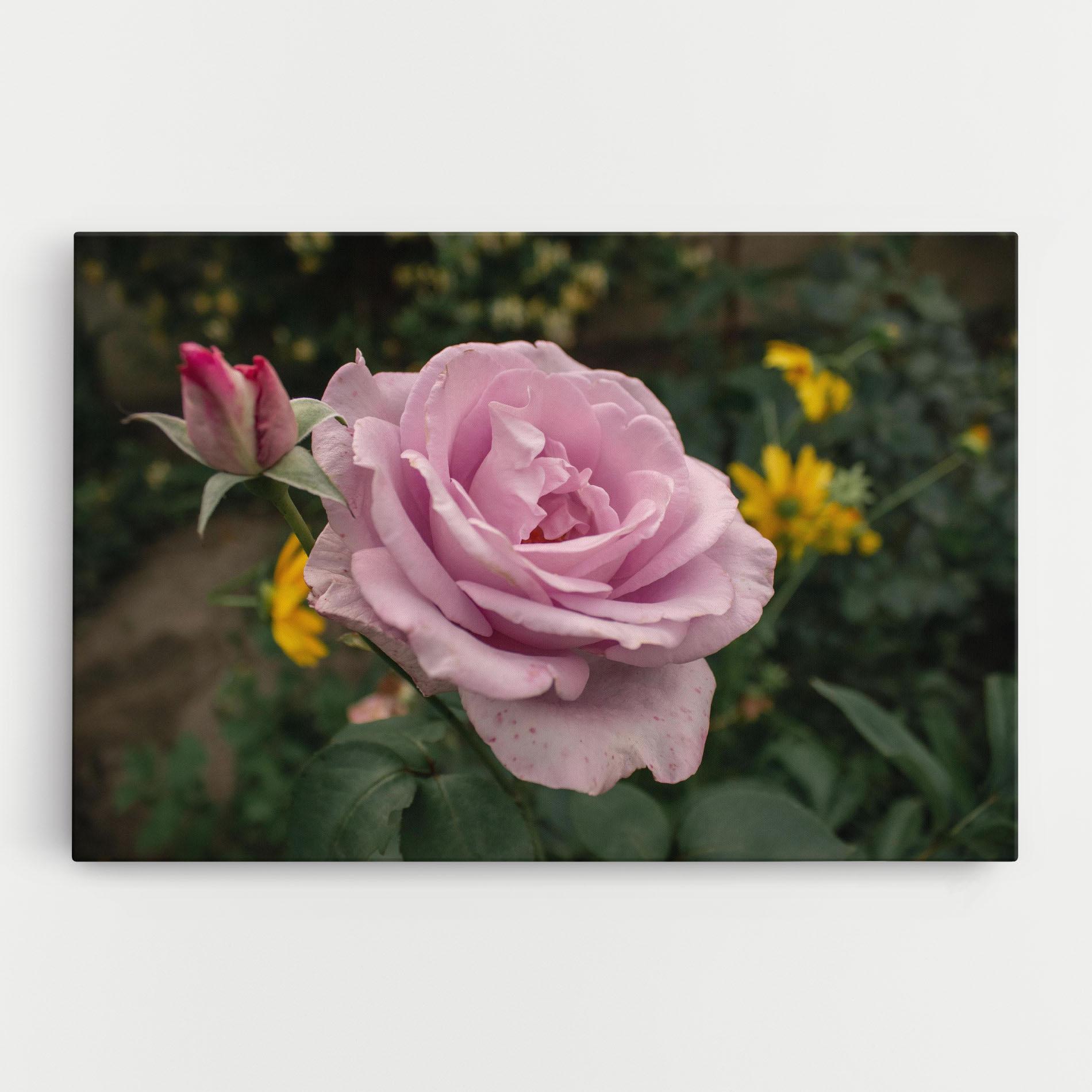 Leinwandbild Garden Pink Rose mockup 0