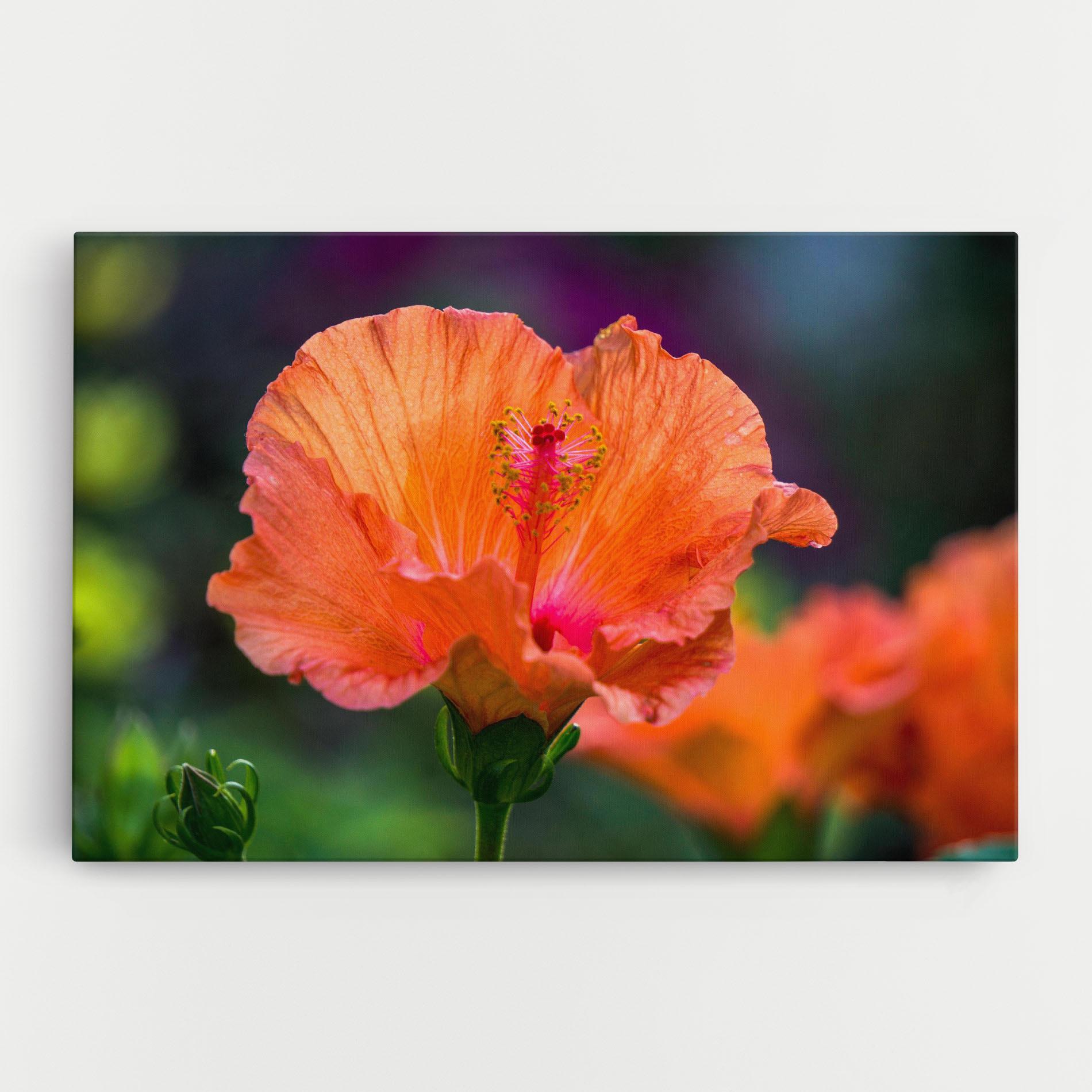 Leinwandbild Orange Wild Flower mockup 0