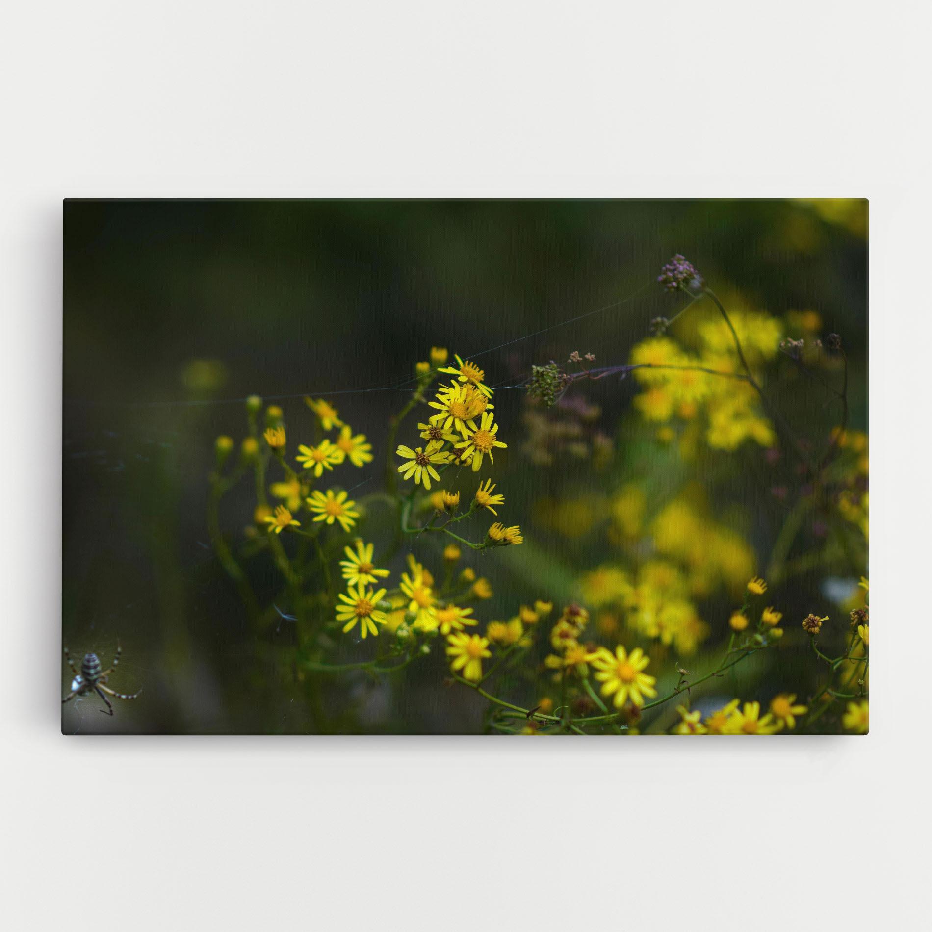 Leinwandbild Small Wild Flowers mockup 0