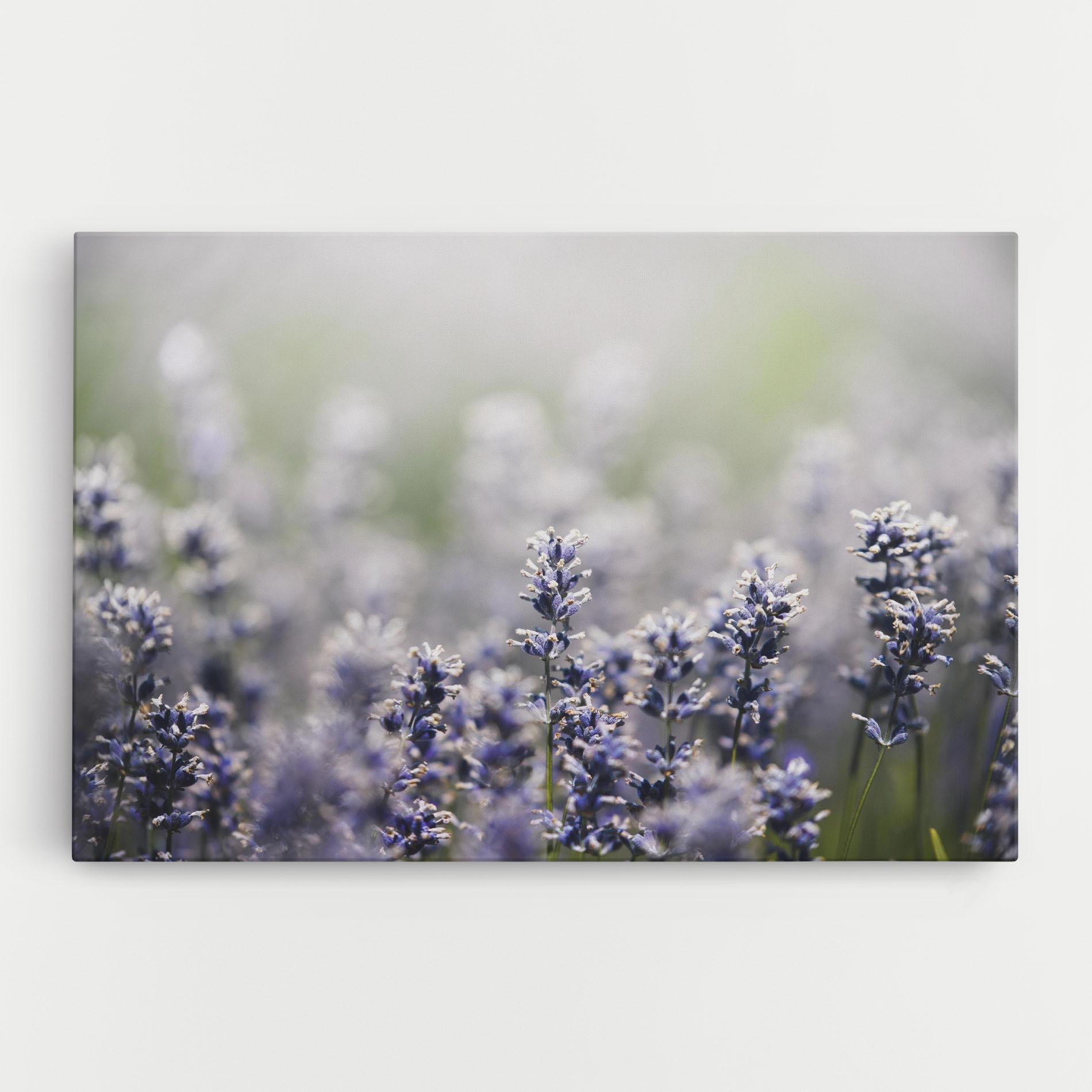 Leinwandbild White Purple Wild mockup 0