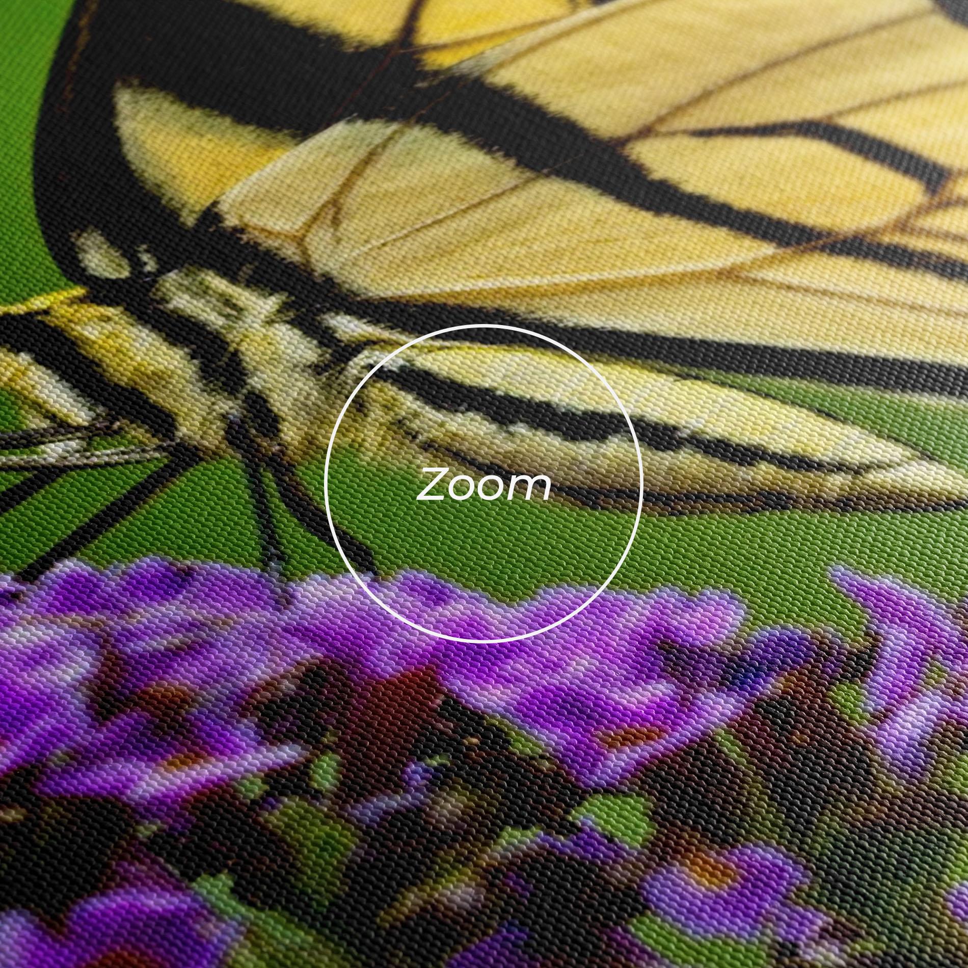 Leinwandbild Cream Wild Butterfly mockup 3