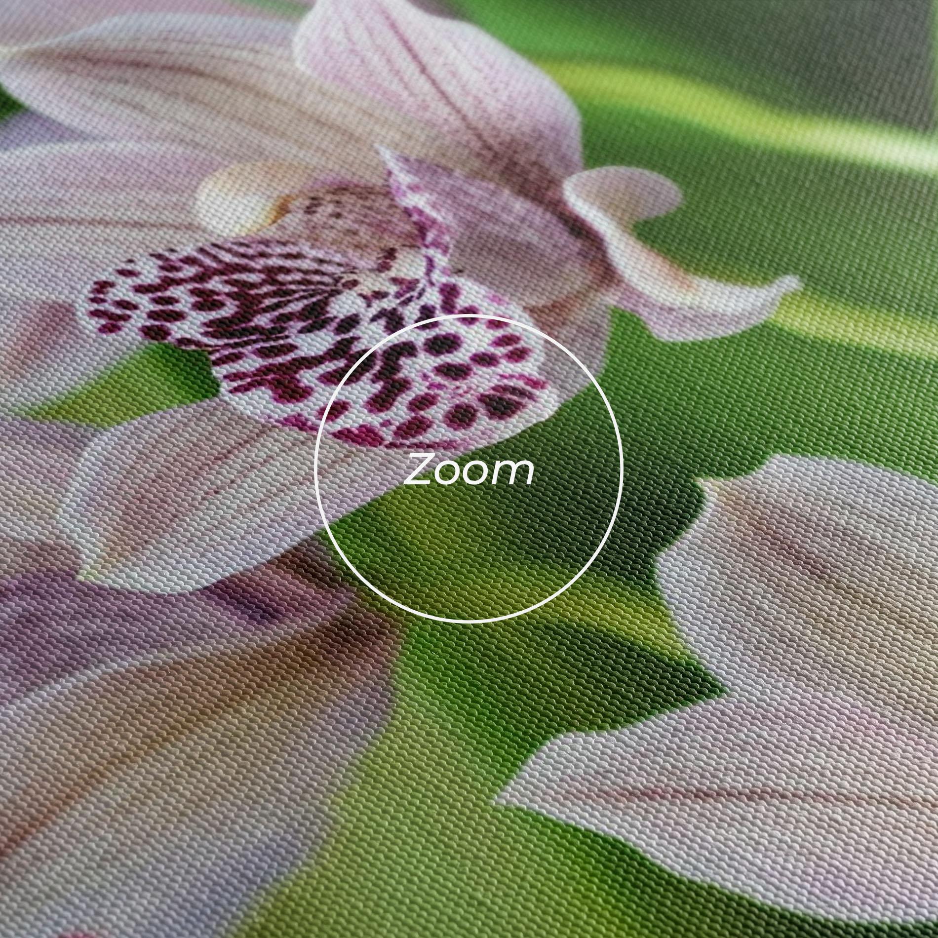 Leinwandbild Cymbidium Orchid mockup 3