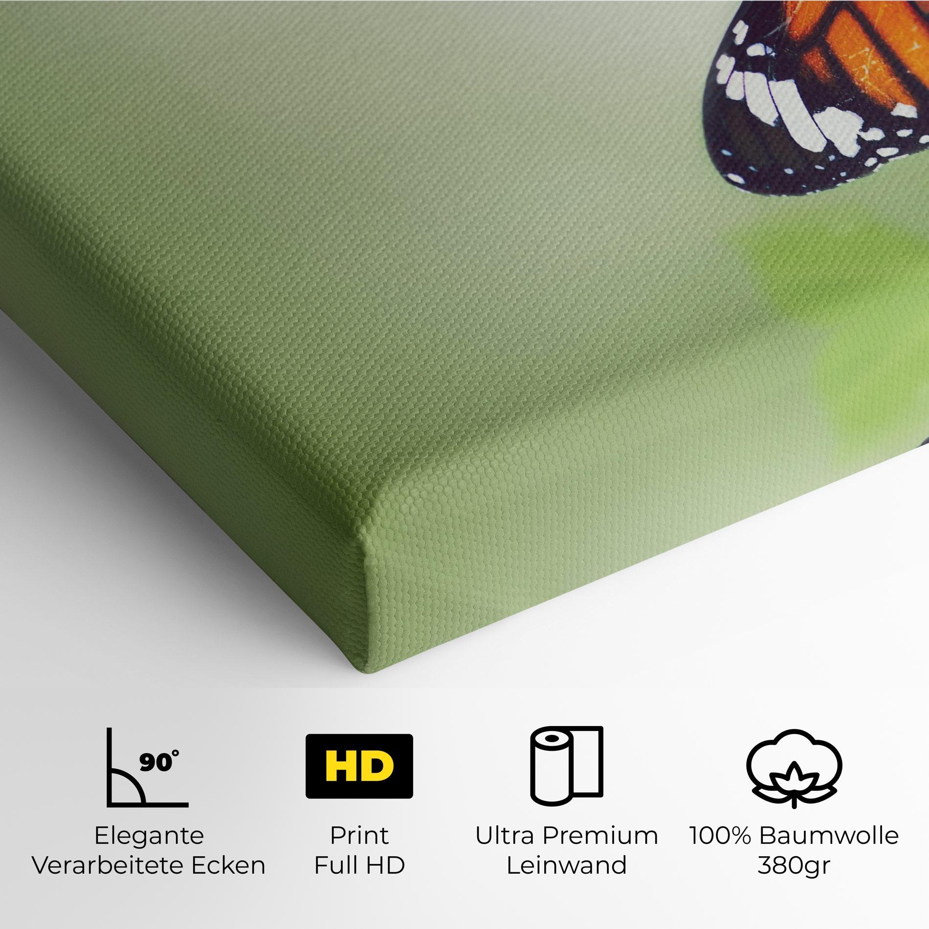 Leinwandbild Butterfly Wild Plant mockup 4