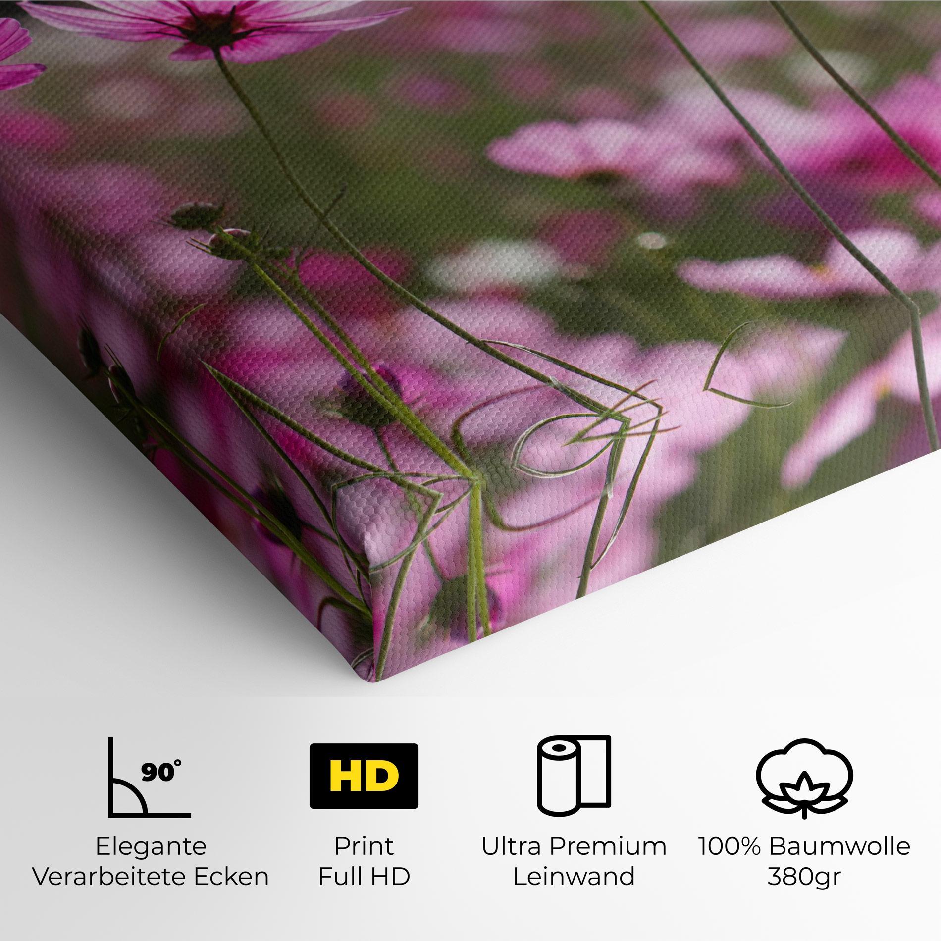 Leinwandbild Cosmos Flower mockup 4