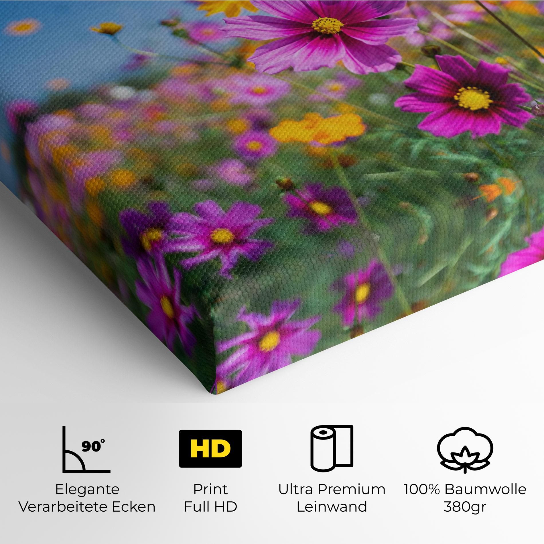 Cosmos Flowers Grassland mockup 4