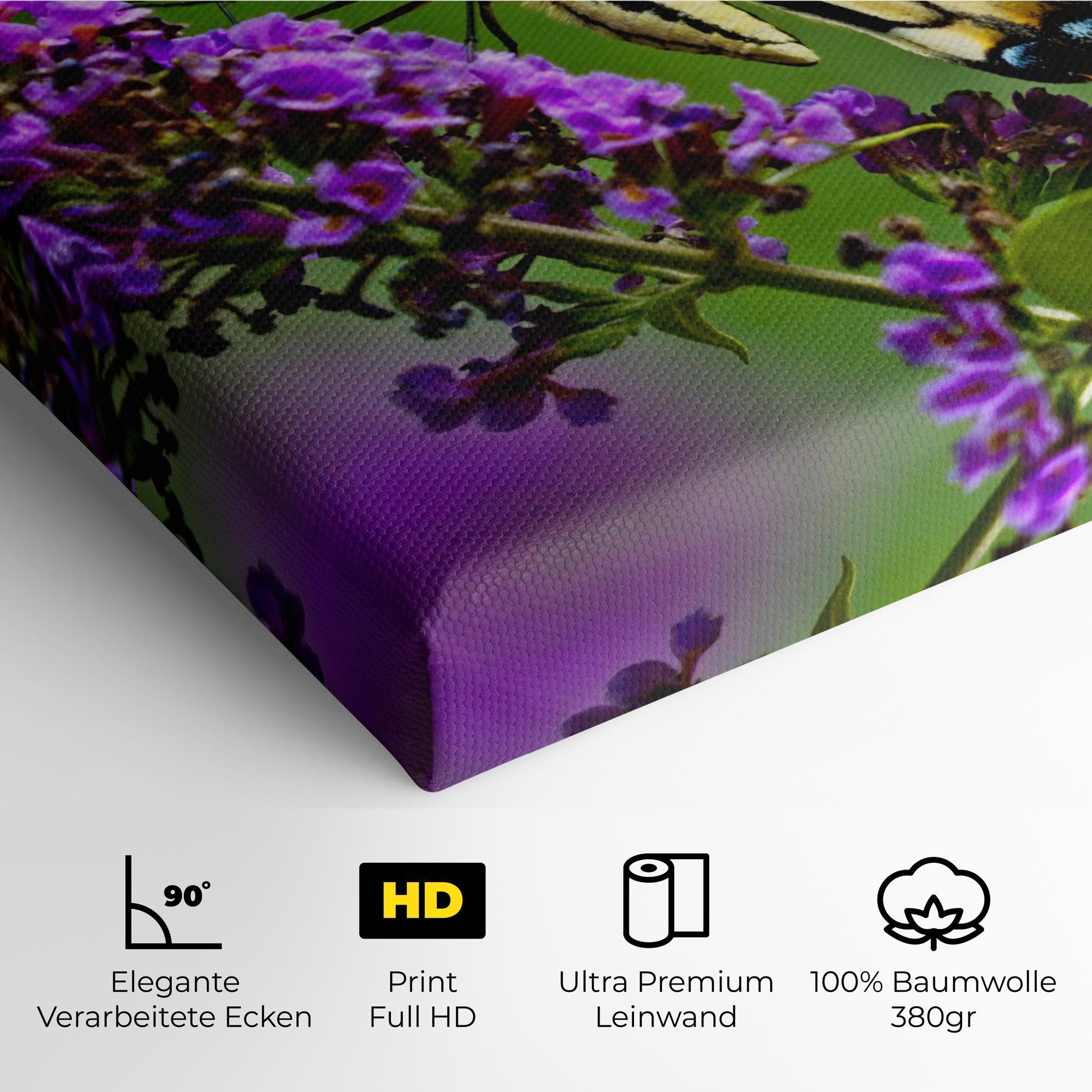 Leinwandbild Cream Wild Butterfly mockup 4