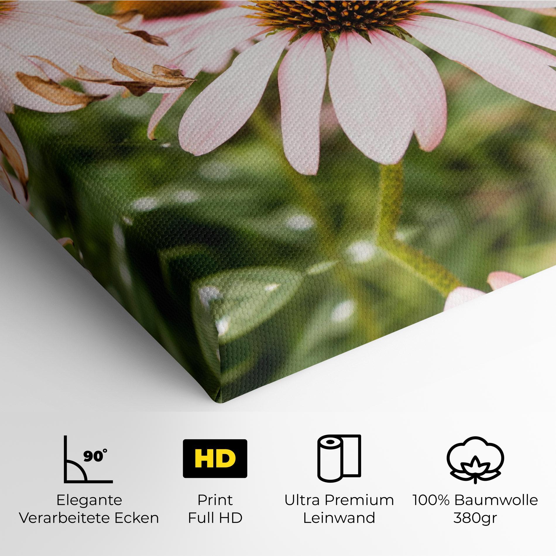 Leinwandbild Daylight Bee mockup 4