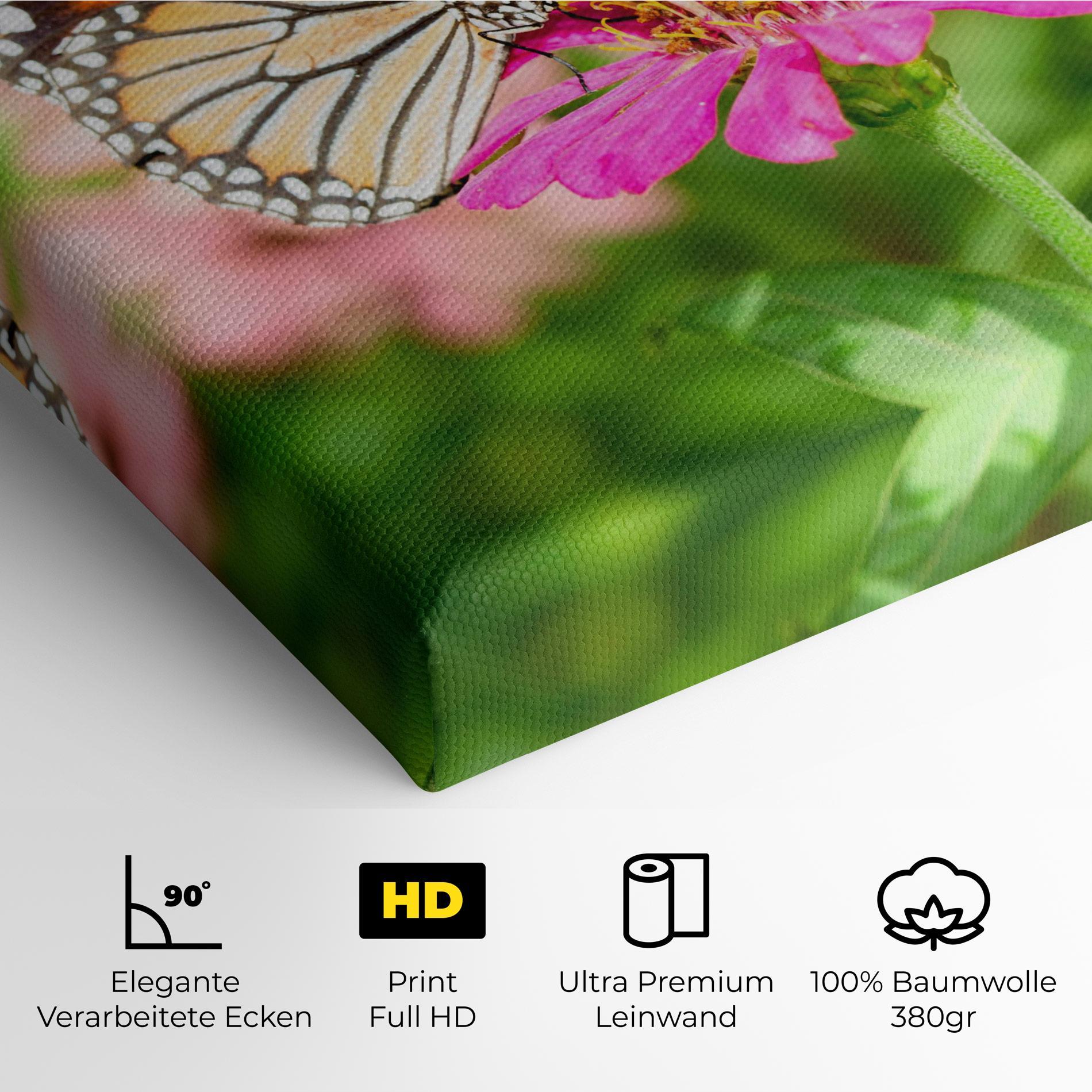 Leinwandbild Daylight Butterfly mockup 4
