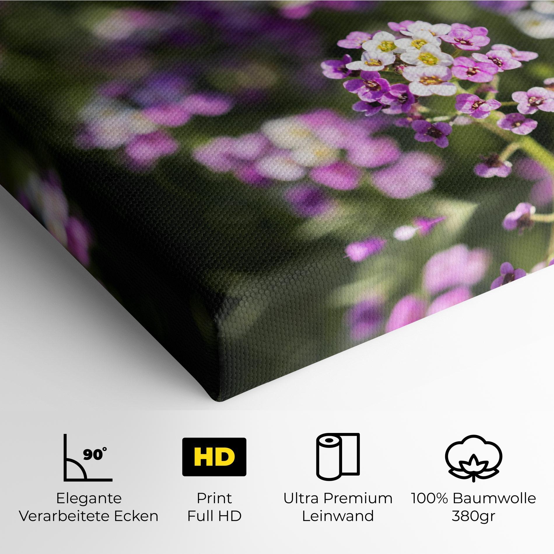 Leinwandbild Wild Purple Field mockup 4