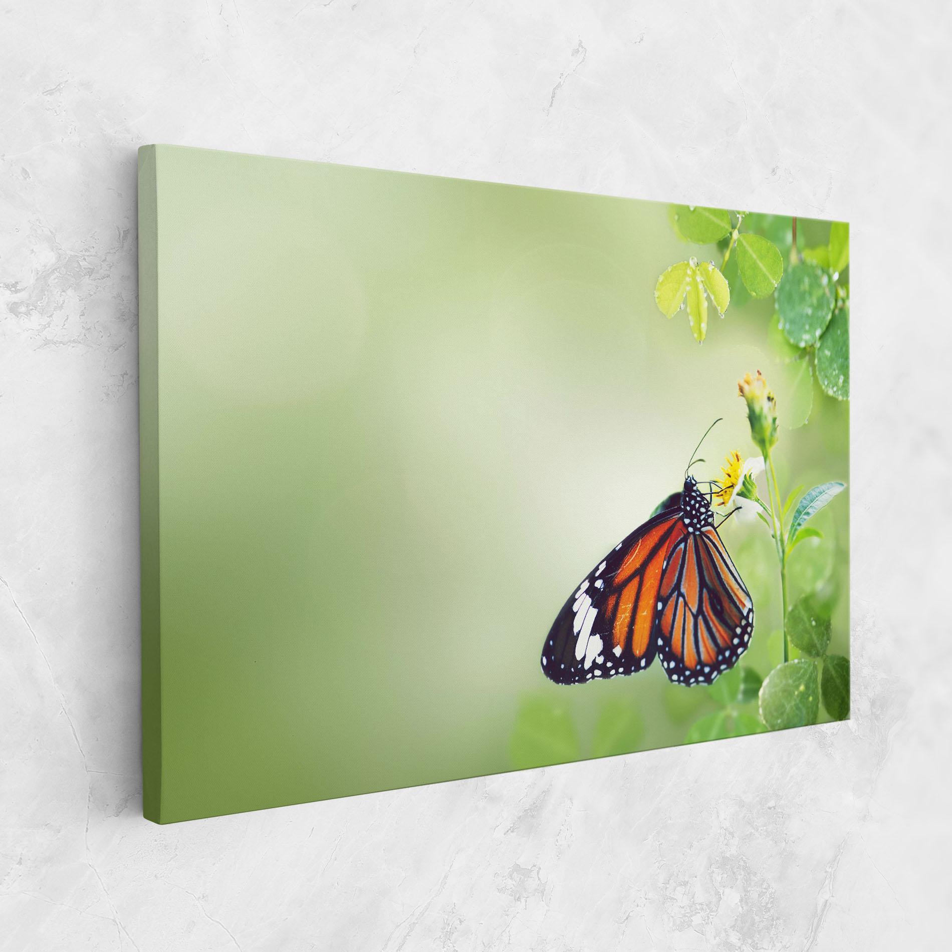 Leinwandbild Butterfly Wild Plant mockup 1