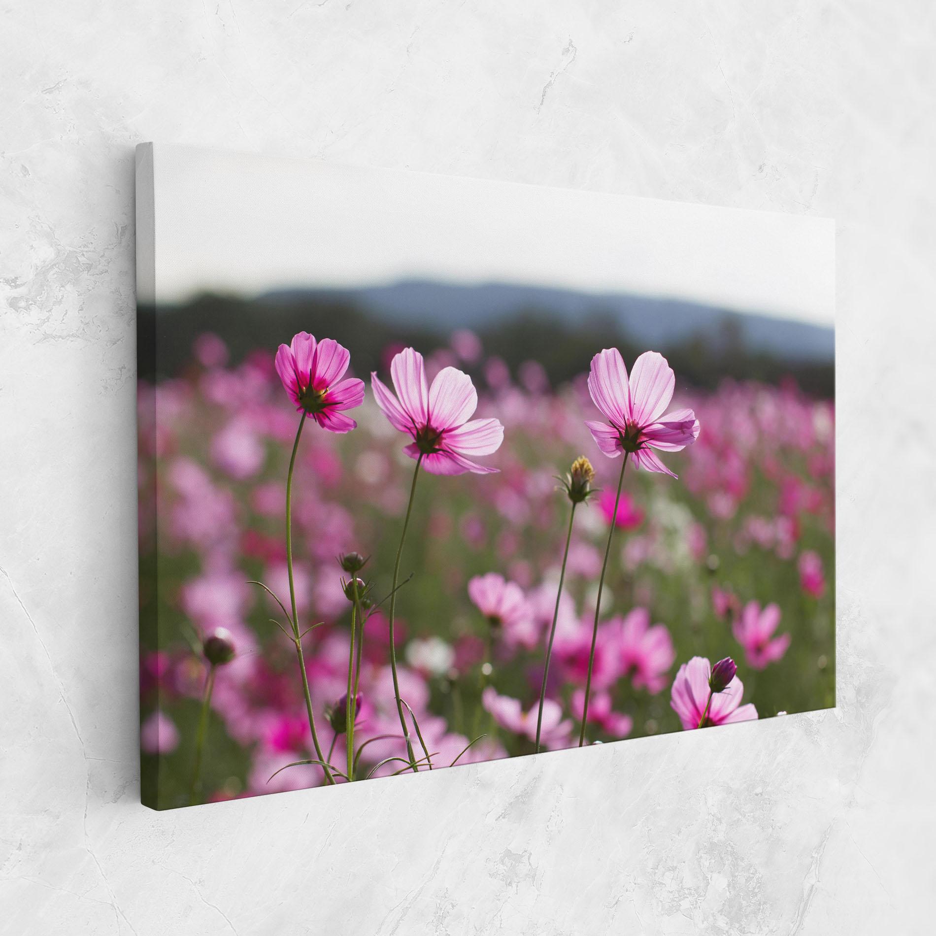 Leinwandbild Cosmos Flower mockup 1