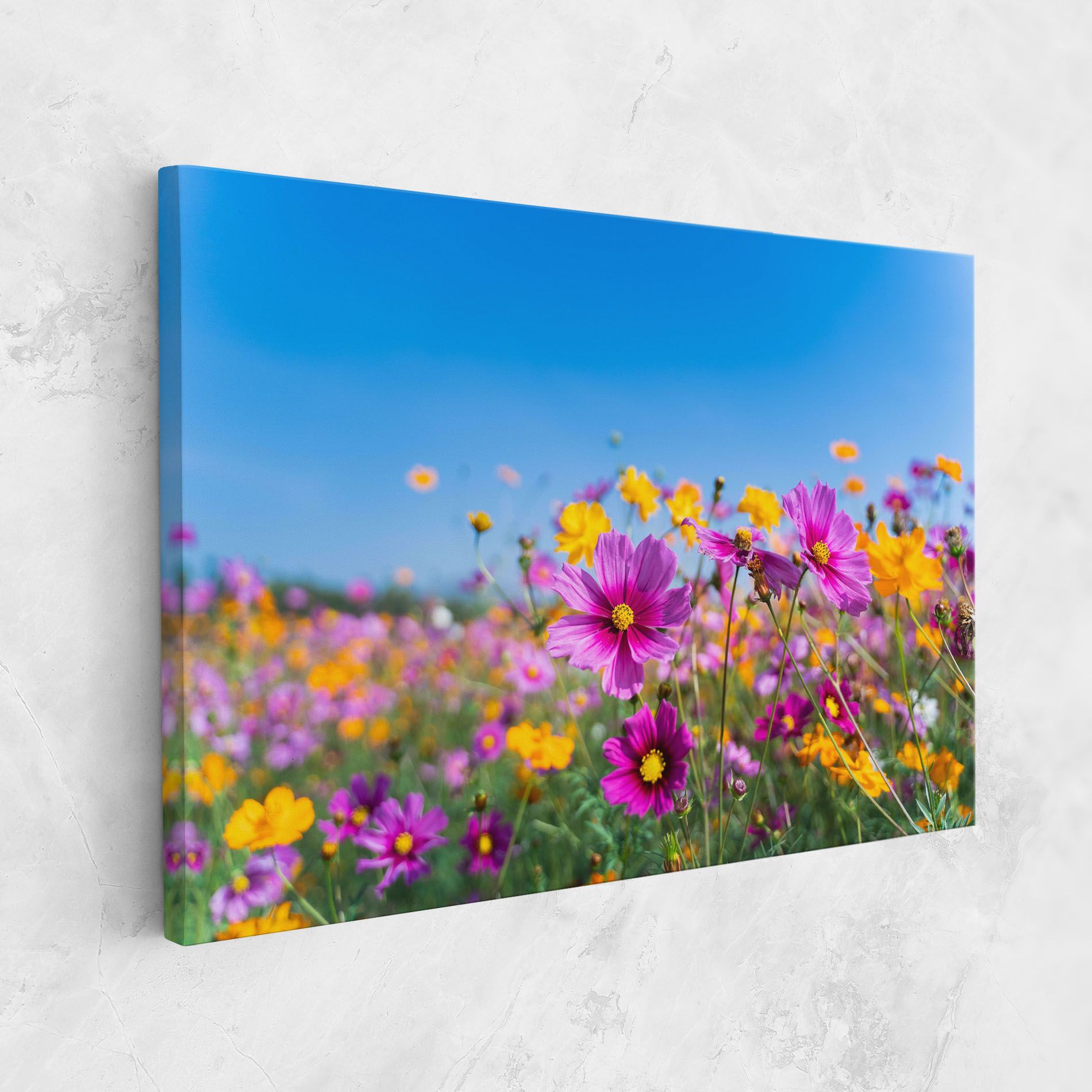 Cosmos Flowers Grassland mockup 1