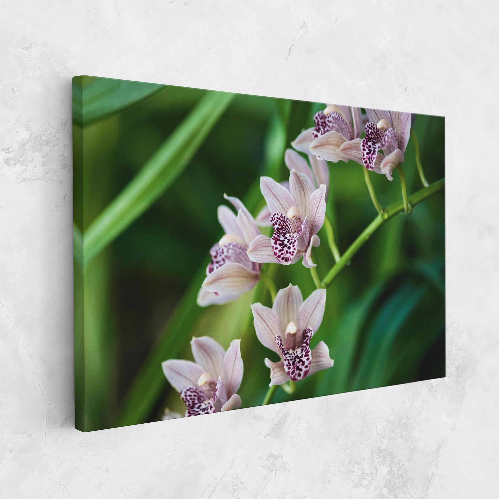 Leinwandbild Cymbidium Orchid mockup 1