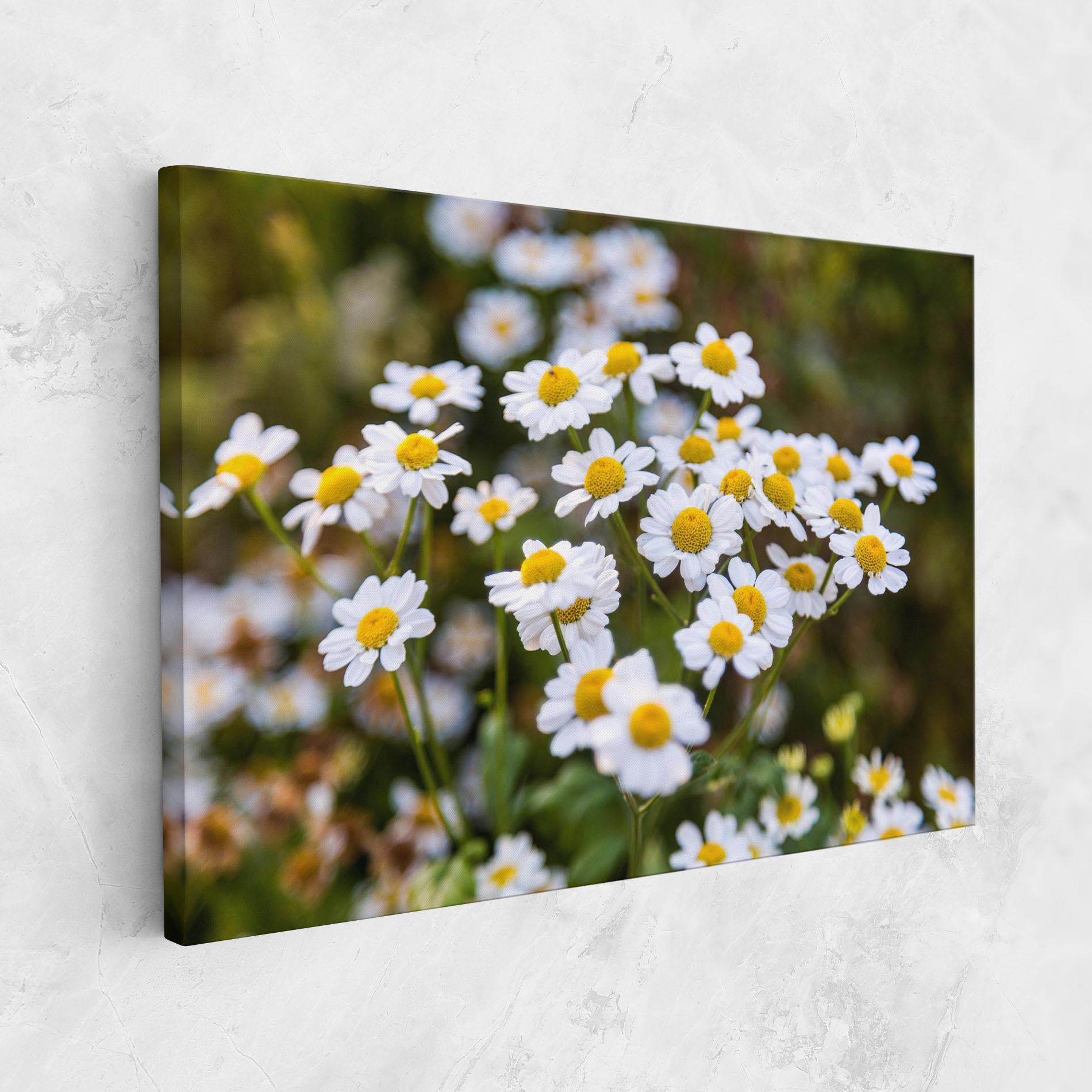 Leinwandbild Flowers Garden mockup 1