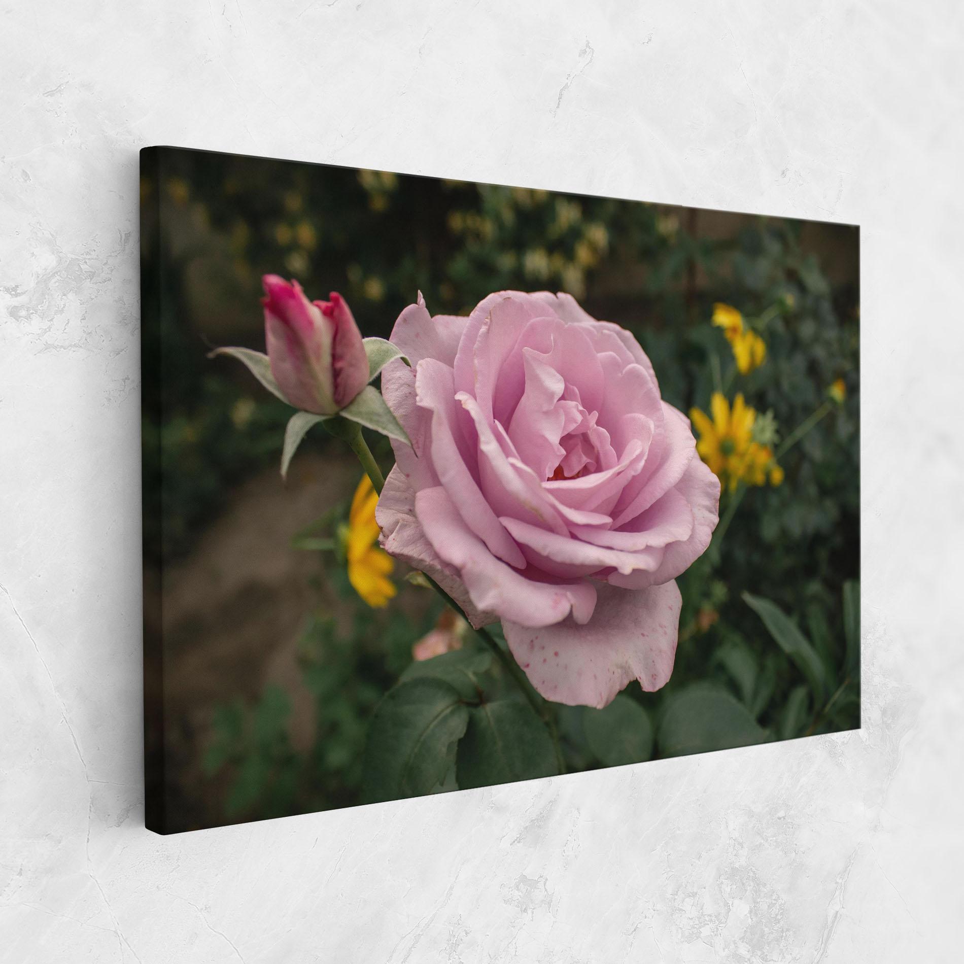 Leinwandbild Garden Pink Rose mockup 1