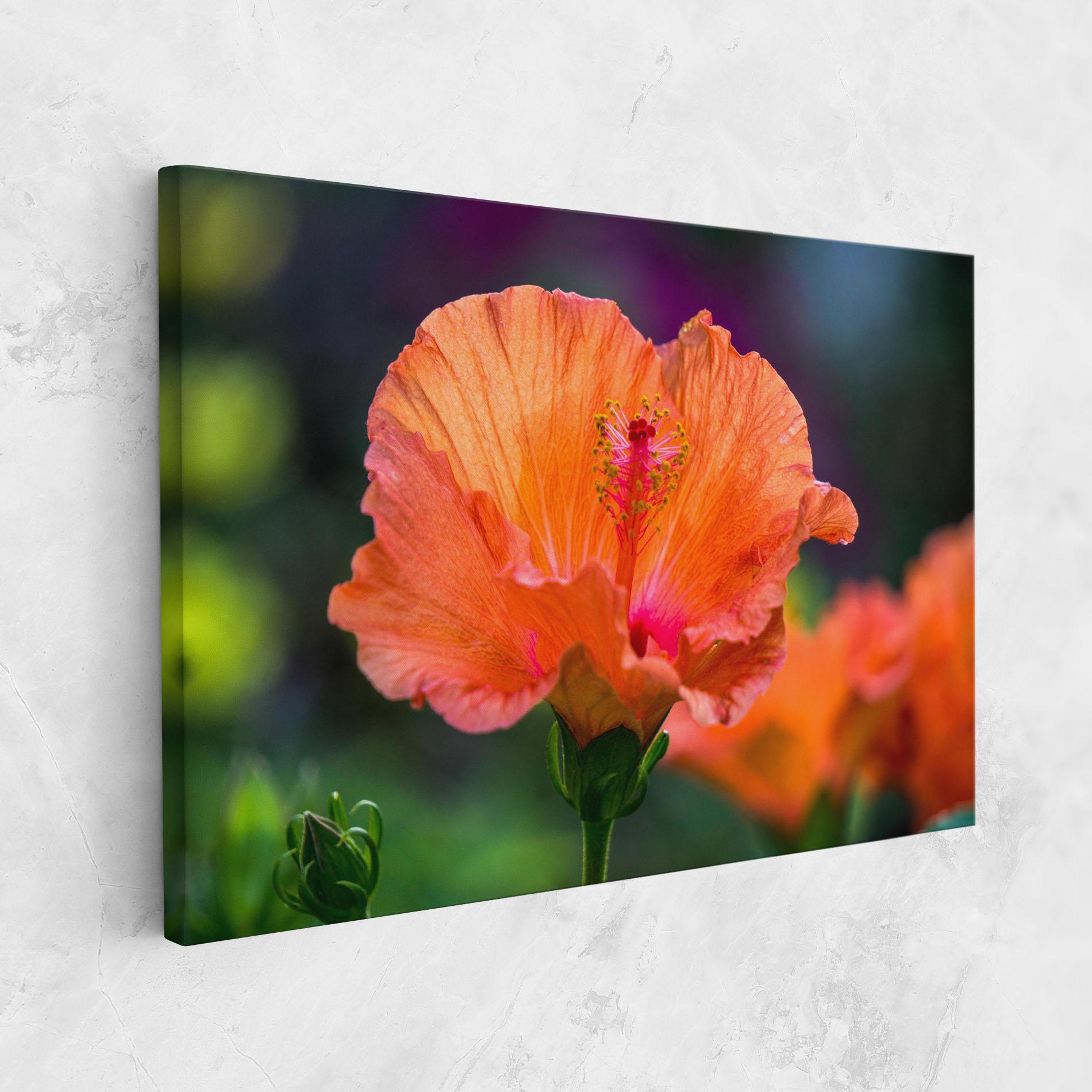 Leinwandbild Orange Wild Flower mockup 1