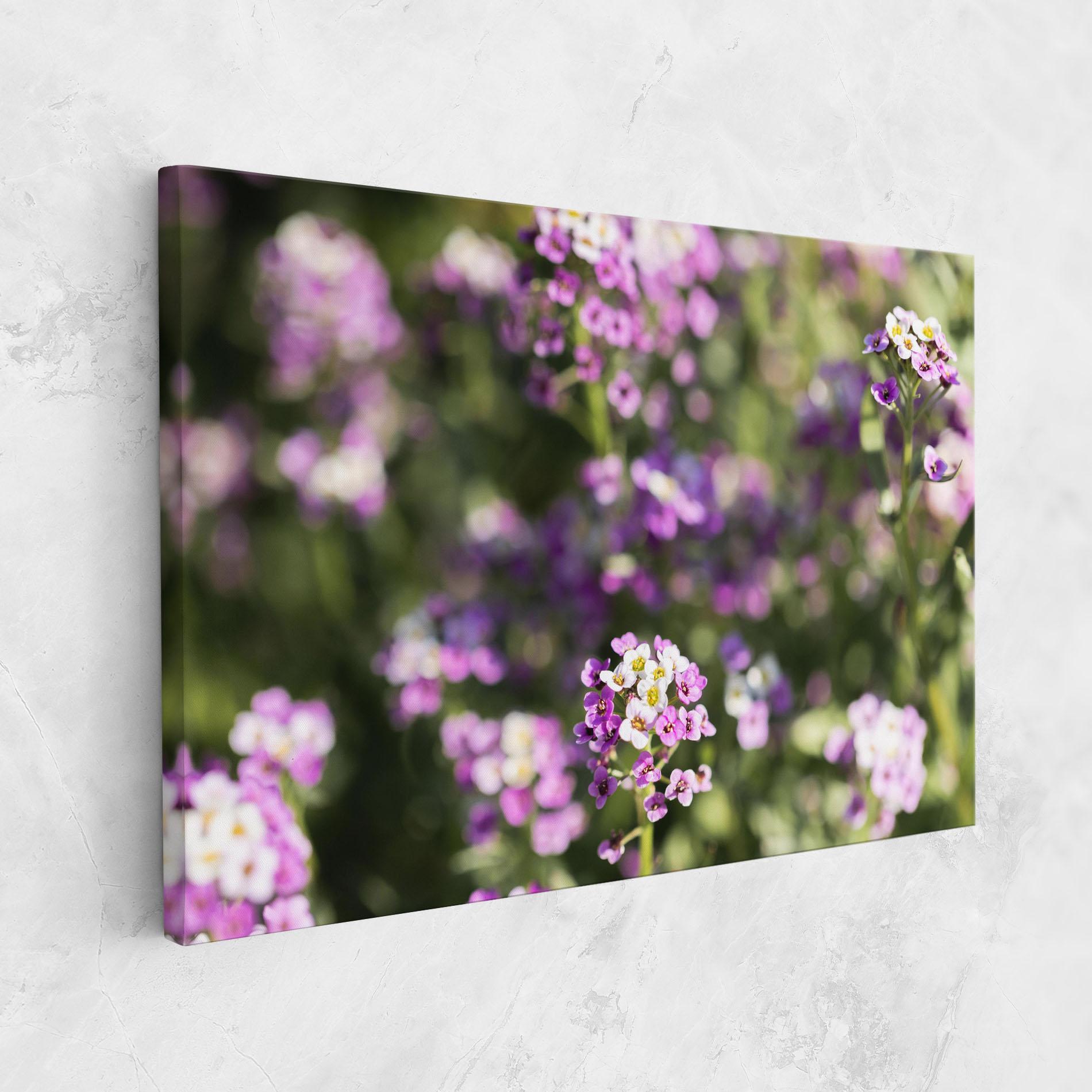 Leinwandbild Wild Purple Field mockup 1