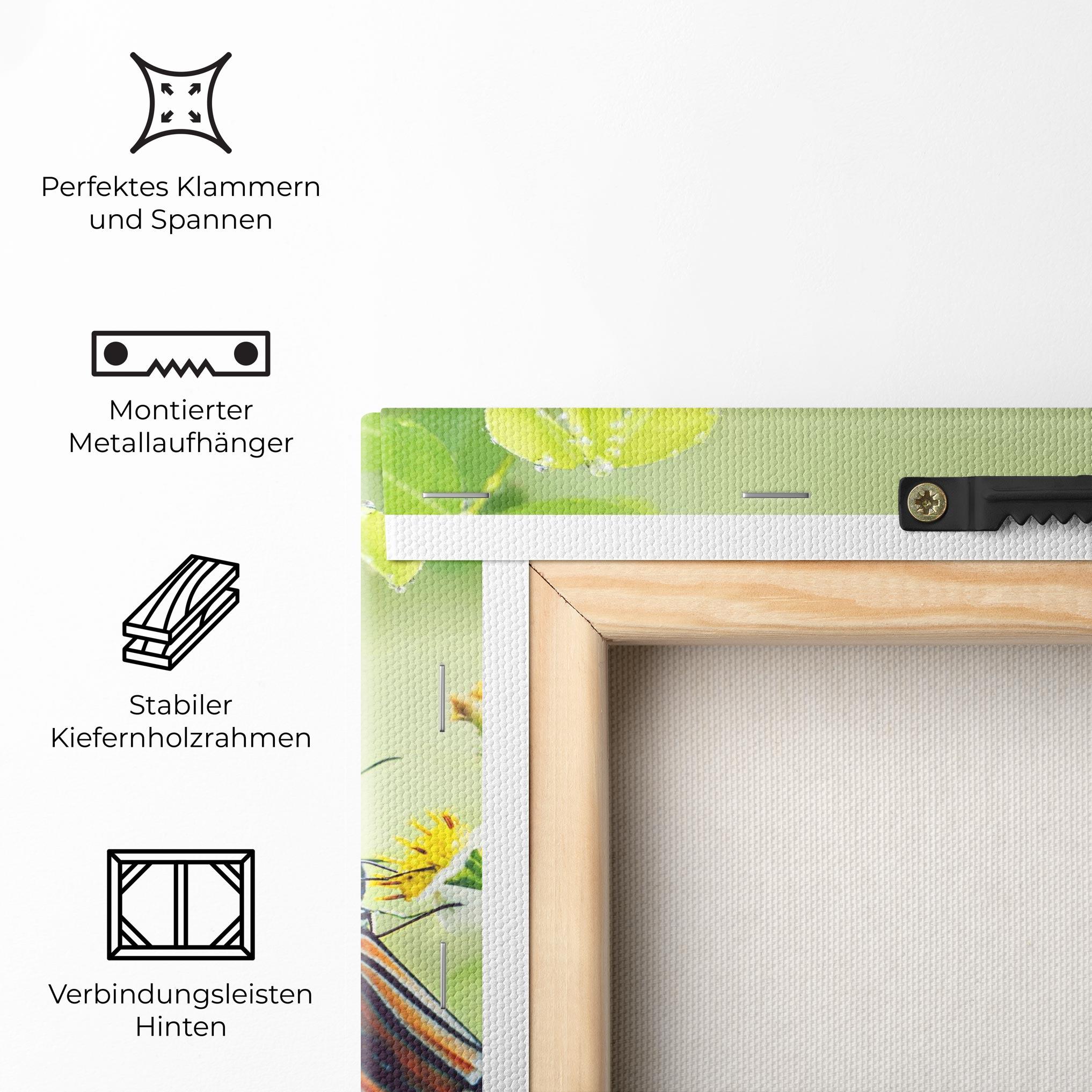 Leinwandbild Butterfly Wild Plant mockup 5