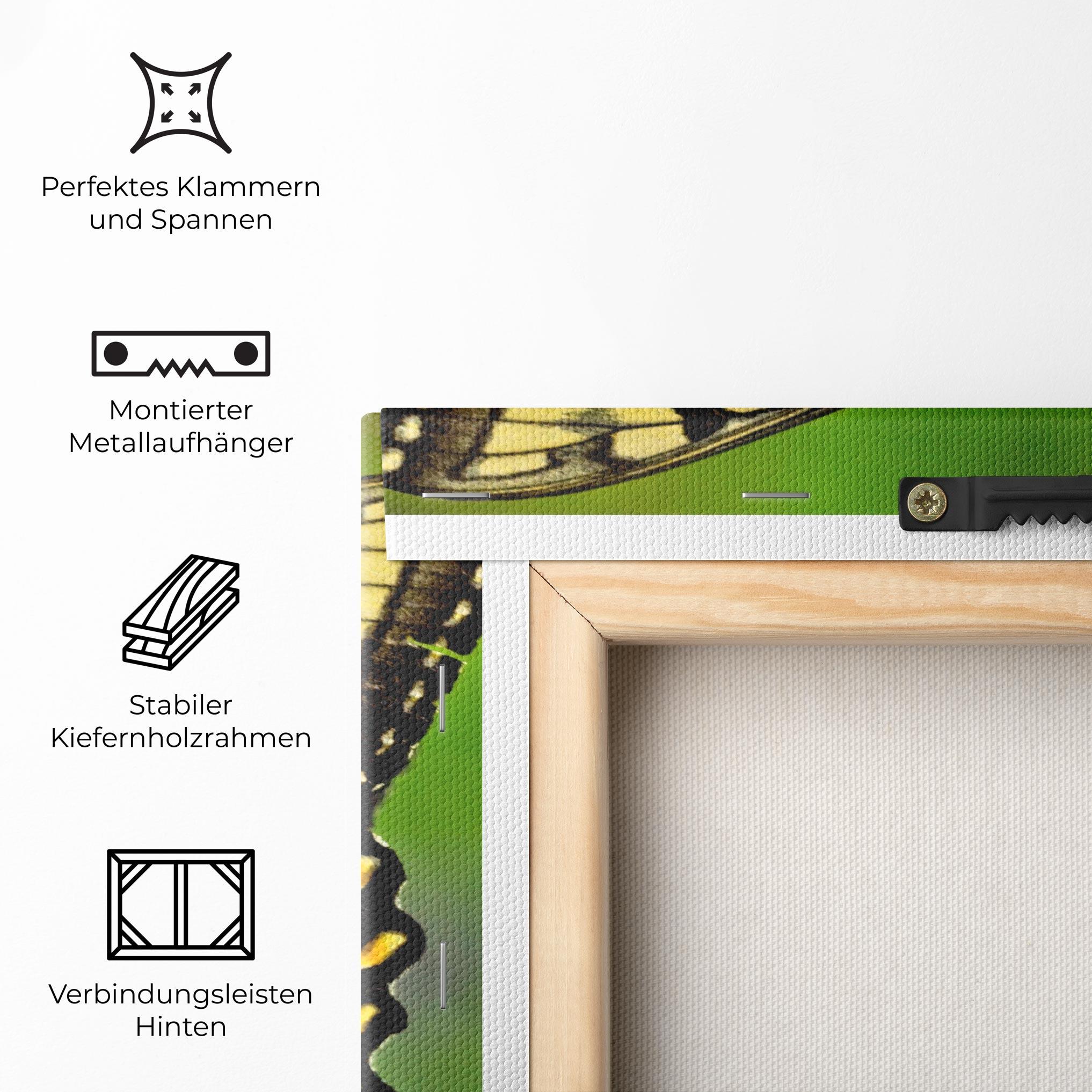 Leinwandbild Cream Wild Butterfly mockup 5