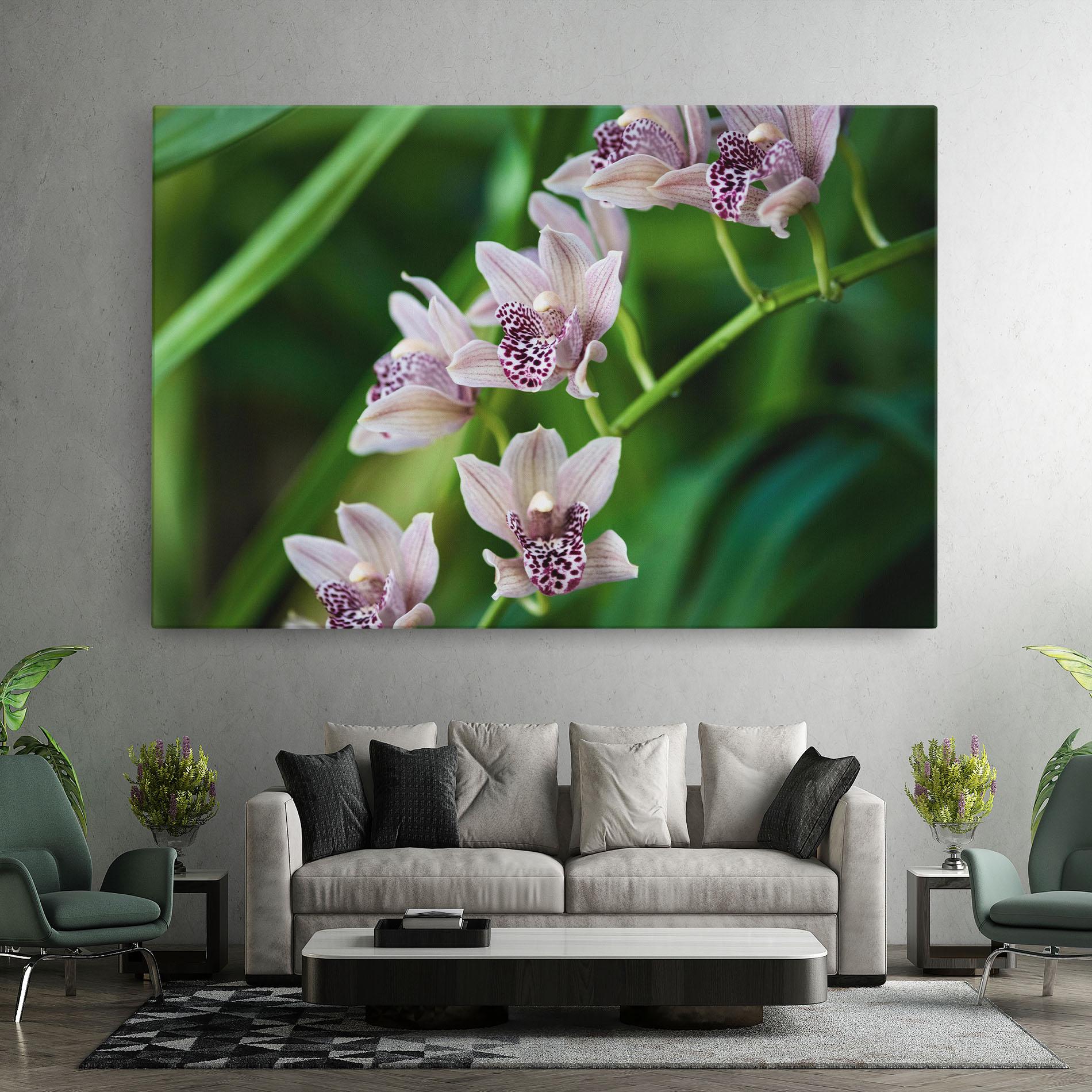 Leinwandbild Cymbidium Orchid mockup 7