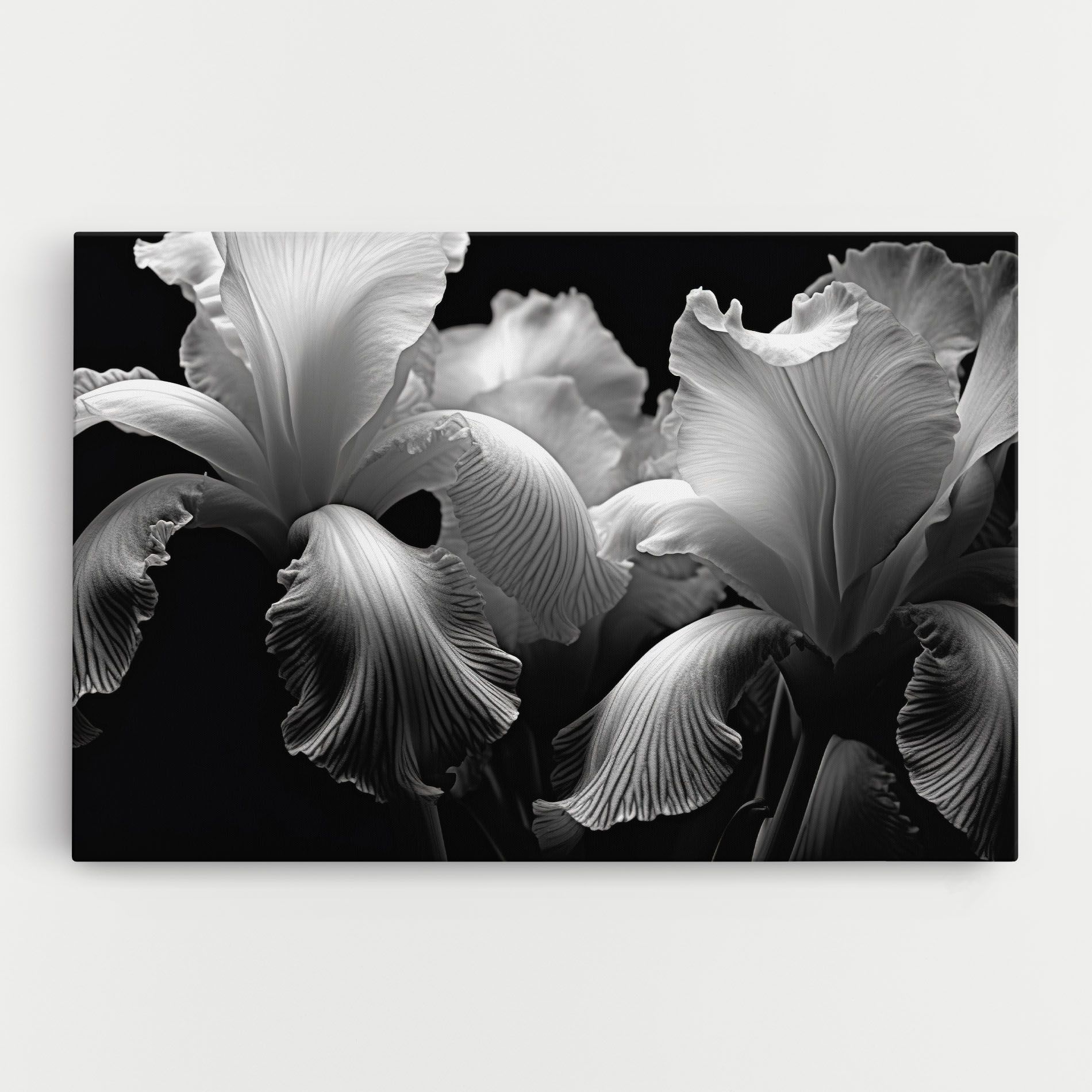 Grey Iris mockup 0