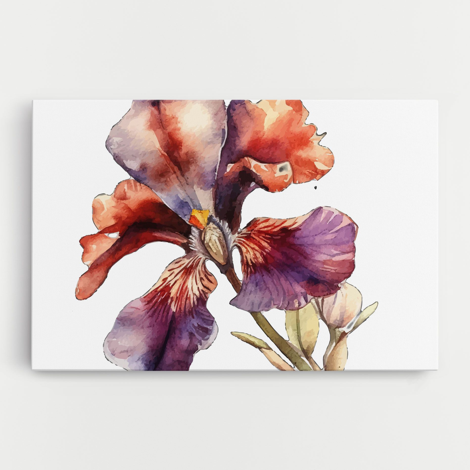 Watercolor Iris mockup 0