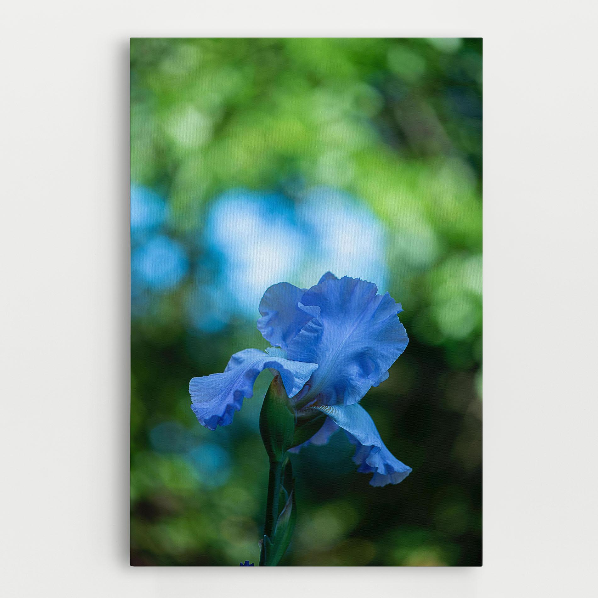 Leinwandbild Blue Iris In The Garden mockup 0