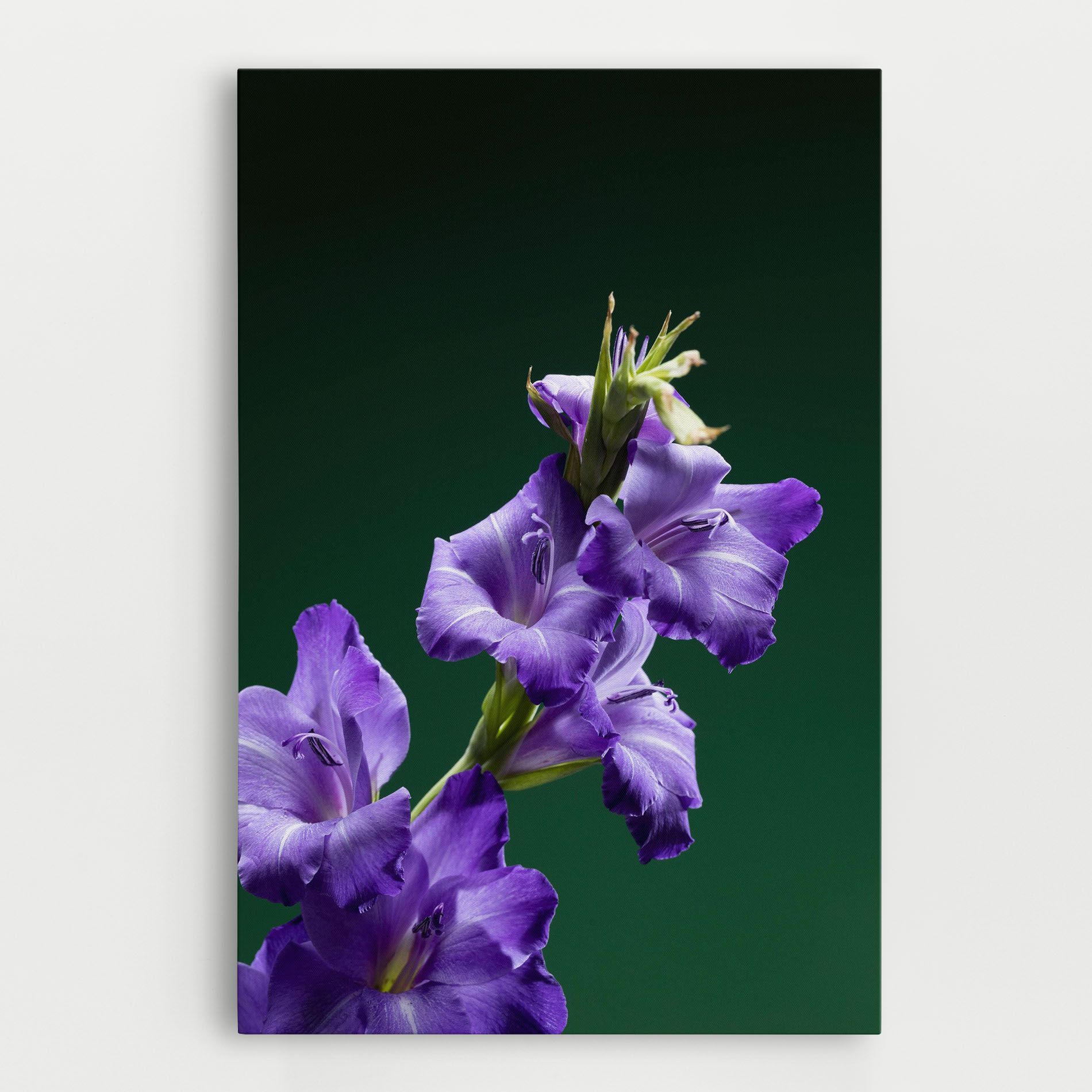 Iris On Green mockup 0