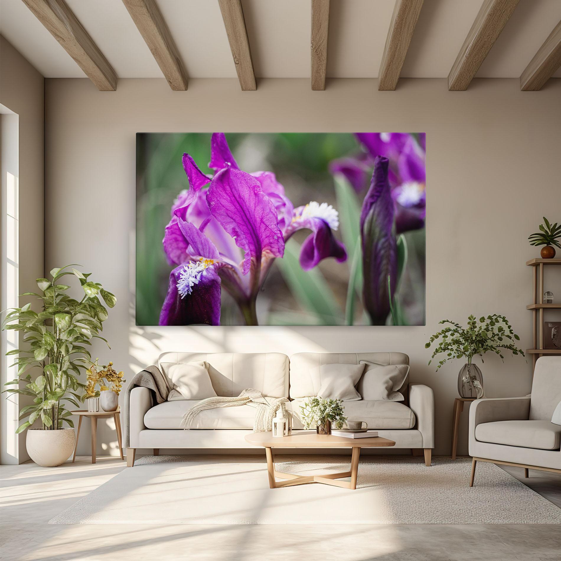 Leinwandbild Dark Pink Iris mockup 6