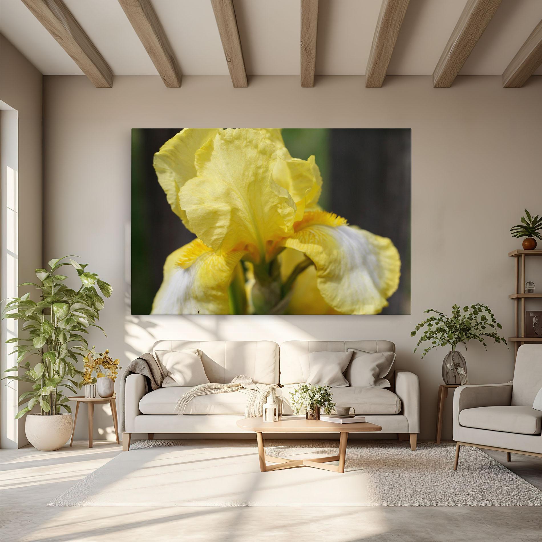 Leinwandbild Garden Yellow Iris mockup 6