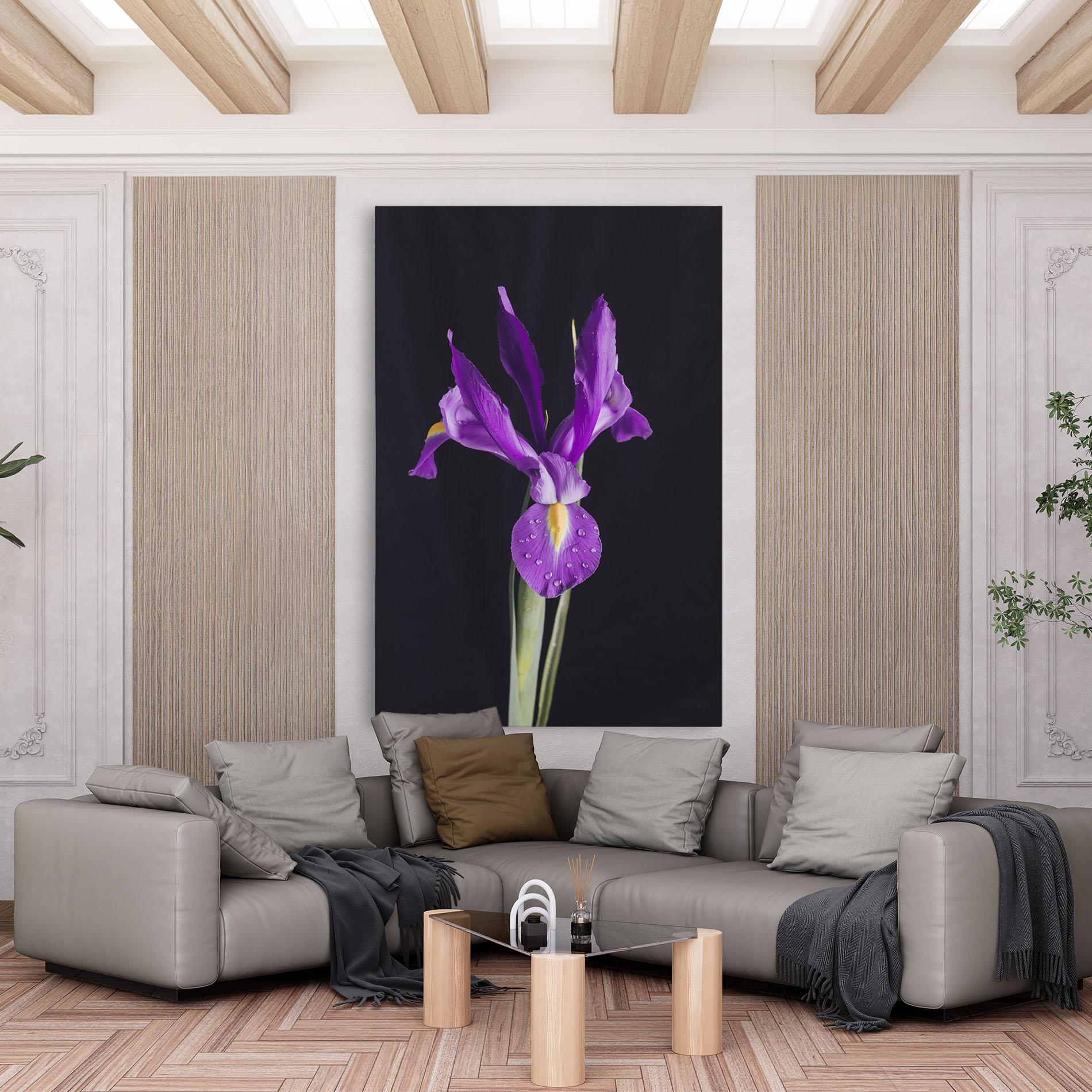 Leinwandbild Fresh Purple Iris mockup 6