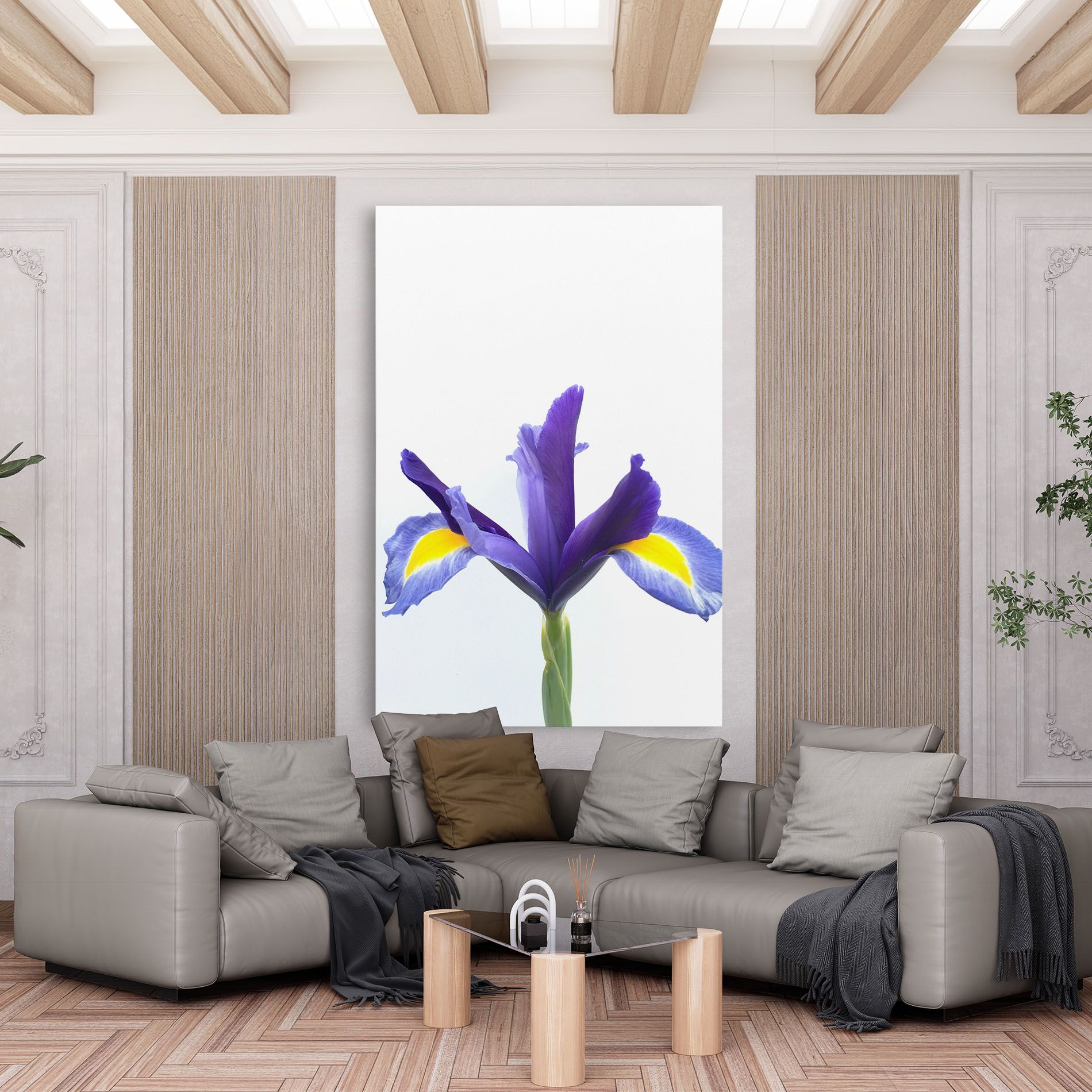 Yellow Color Iris mockup 6