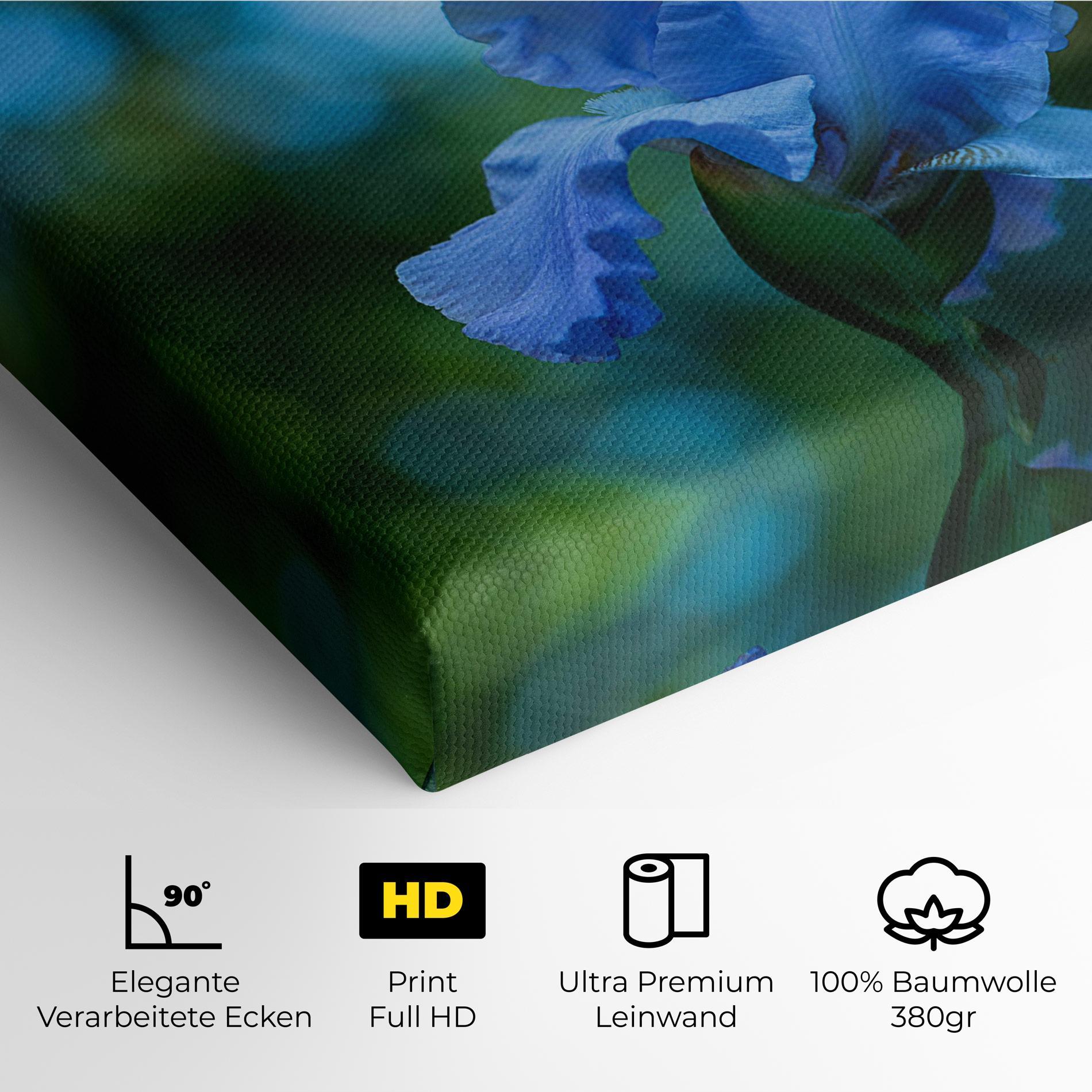 Leinwandbild Blue Iris In The Garden mockup 4