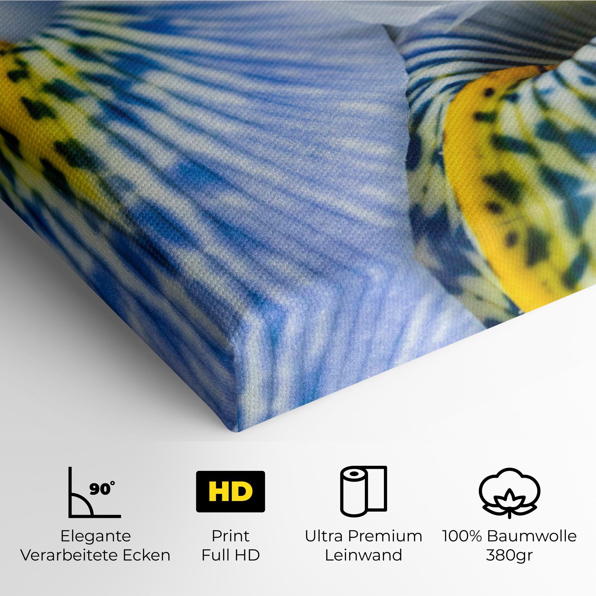 Leinwandbild Blue Yellow Iris mockup 4