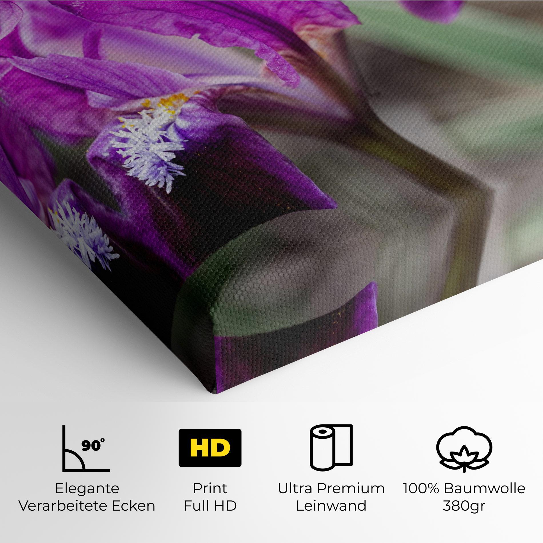 Leinwandbild Dark Pink Iris mockup 4