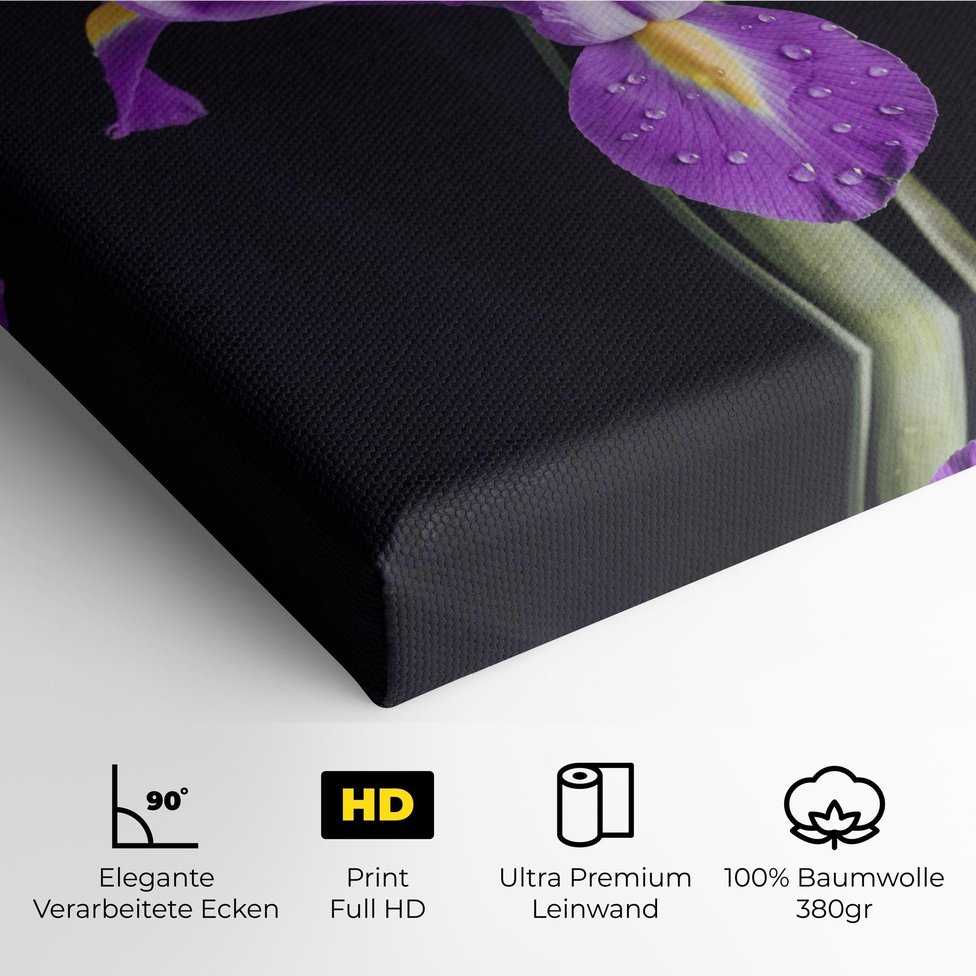 Leinwandbild Fresh Purple Iris mockup 4