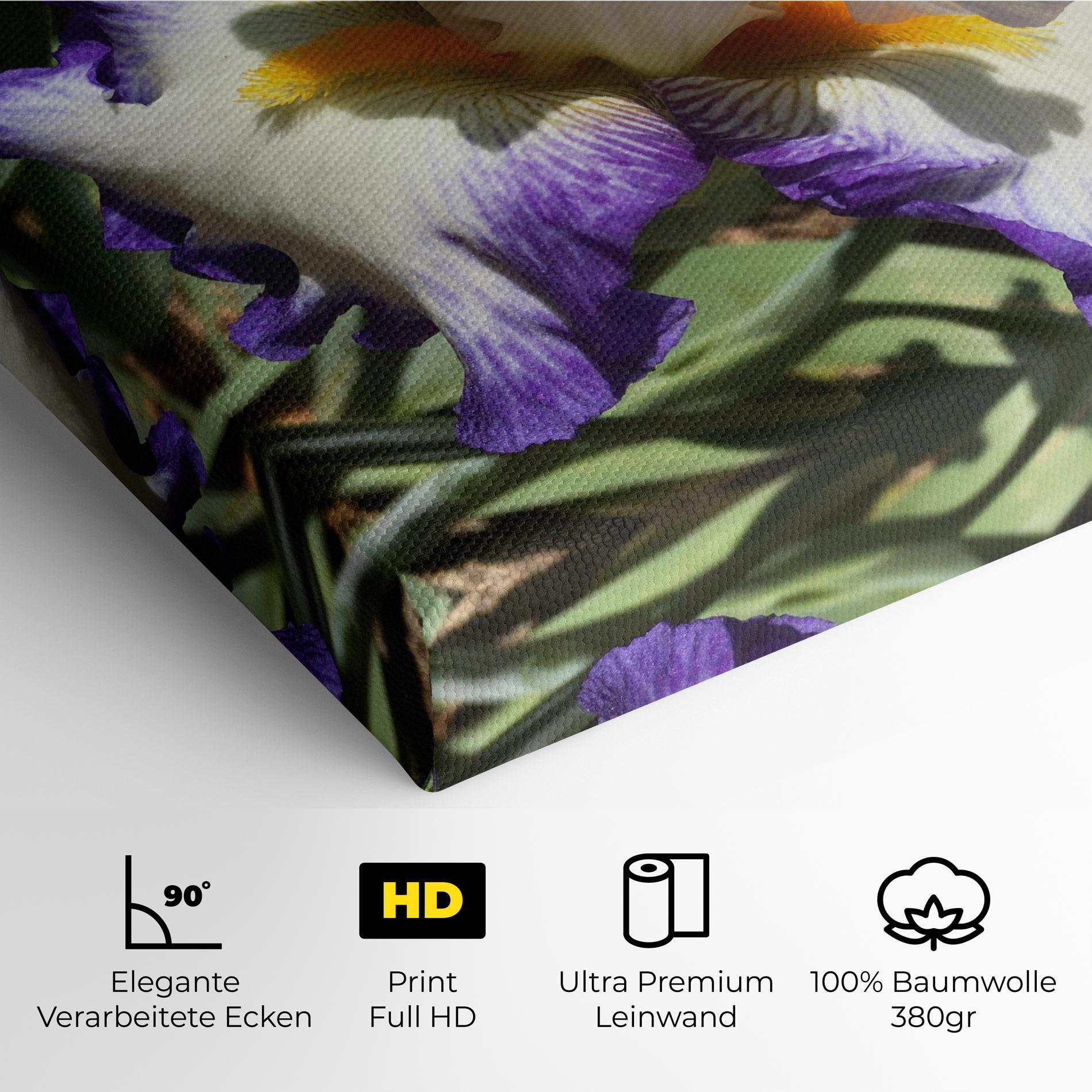 Leinwandbild Garden White Purple Irirs mockup 4