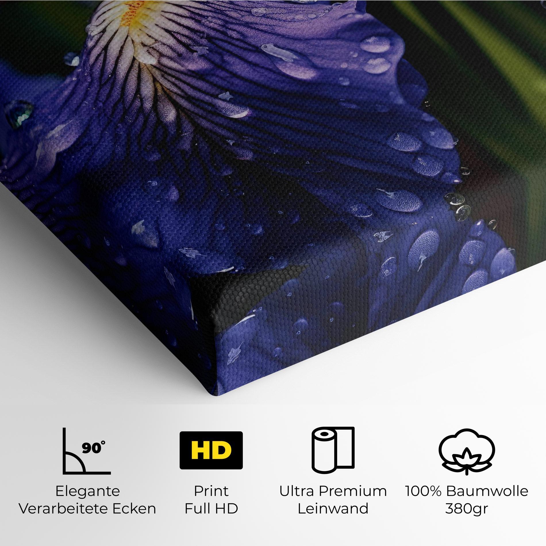 Leinwandbild Iris After Rain mockup 4