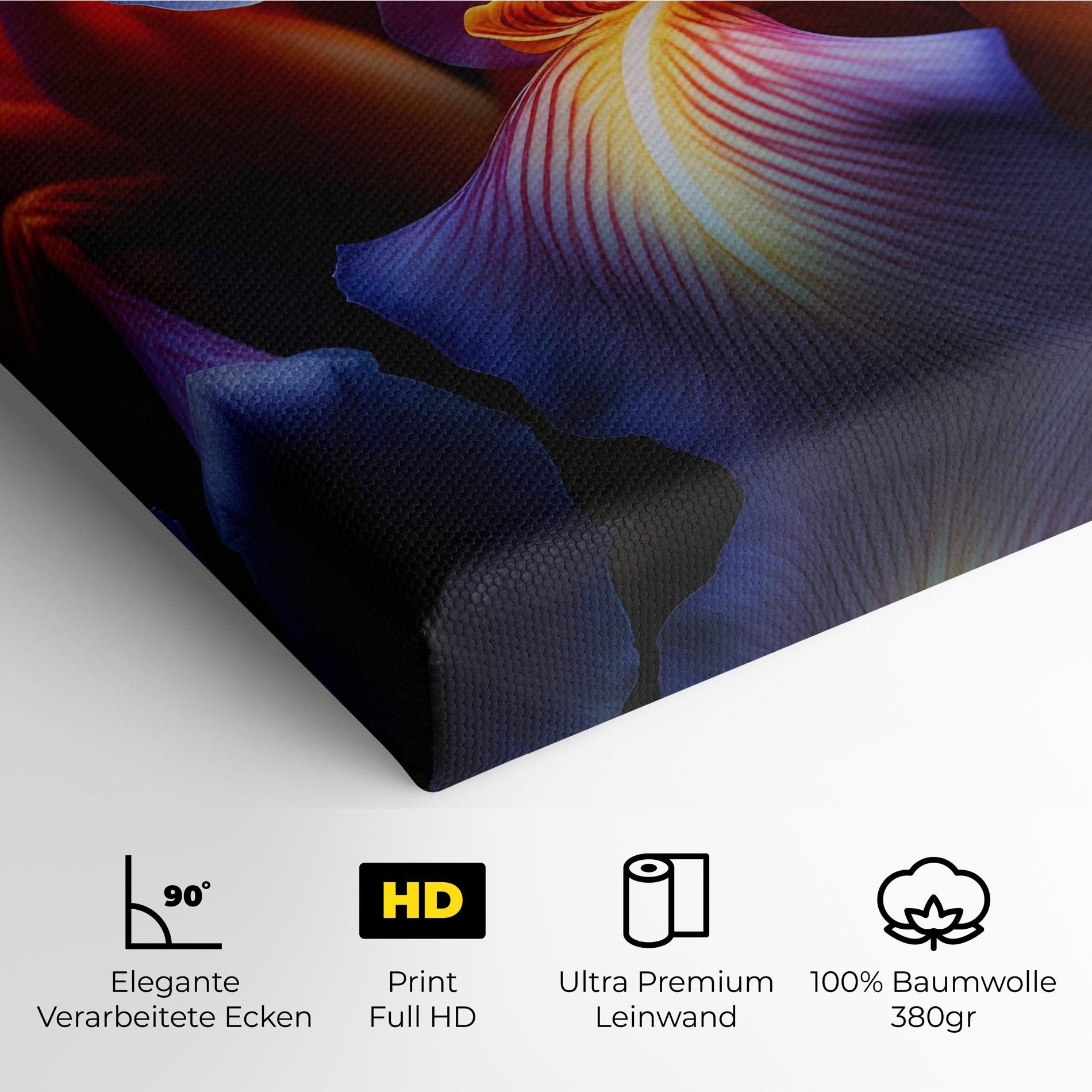 Orange Purple Iris mockup 4