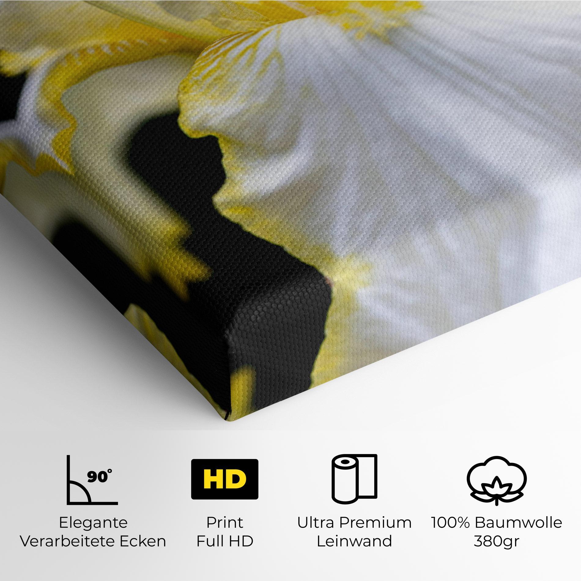 Leinwandbild White Yellow Iris mockup 4