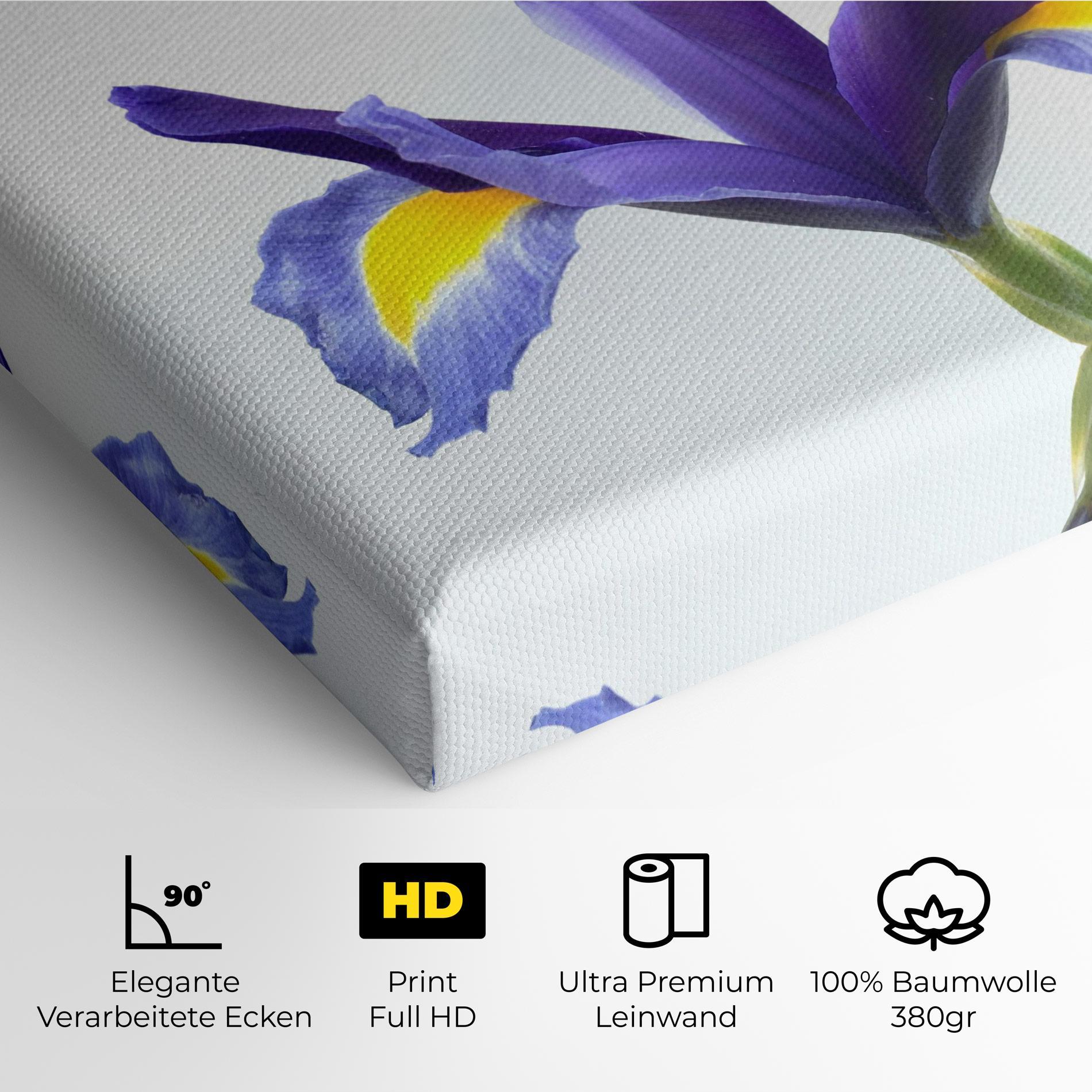 Leinwandbild Yellow Color Iris mockup 4